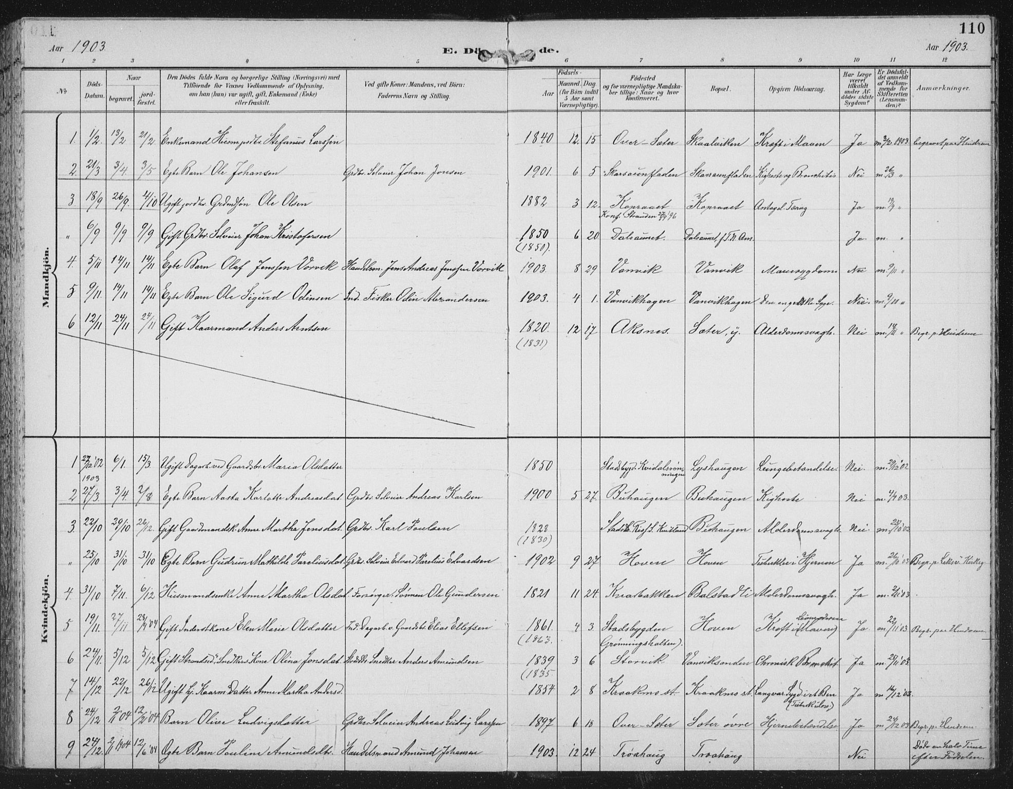 Ministerialprotokoller, klokkerbøker og fødselsregistre - Nord-Trøndelag, SAT/A-1458/702/L0024: Parish register (official) no. 702A02, 1898-1914, p. 110