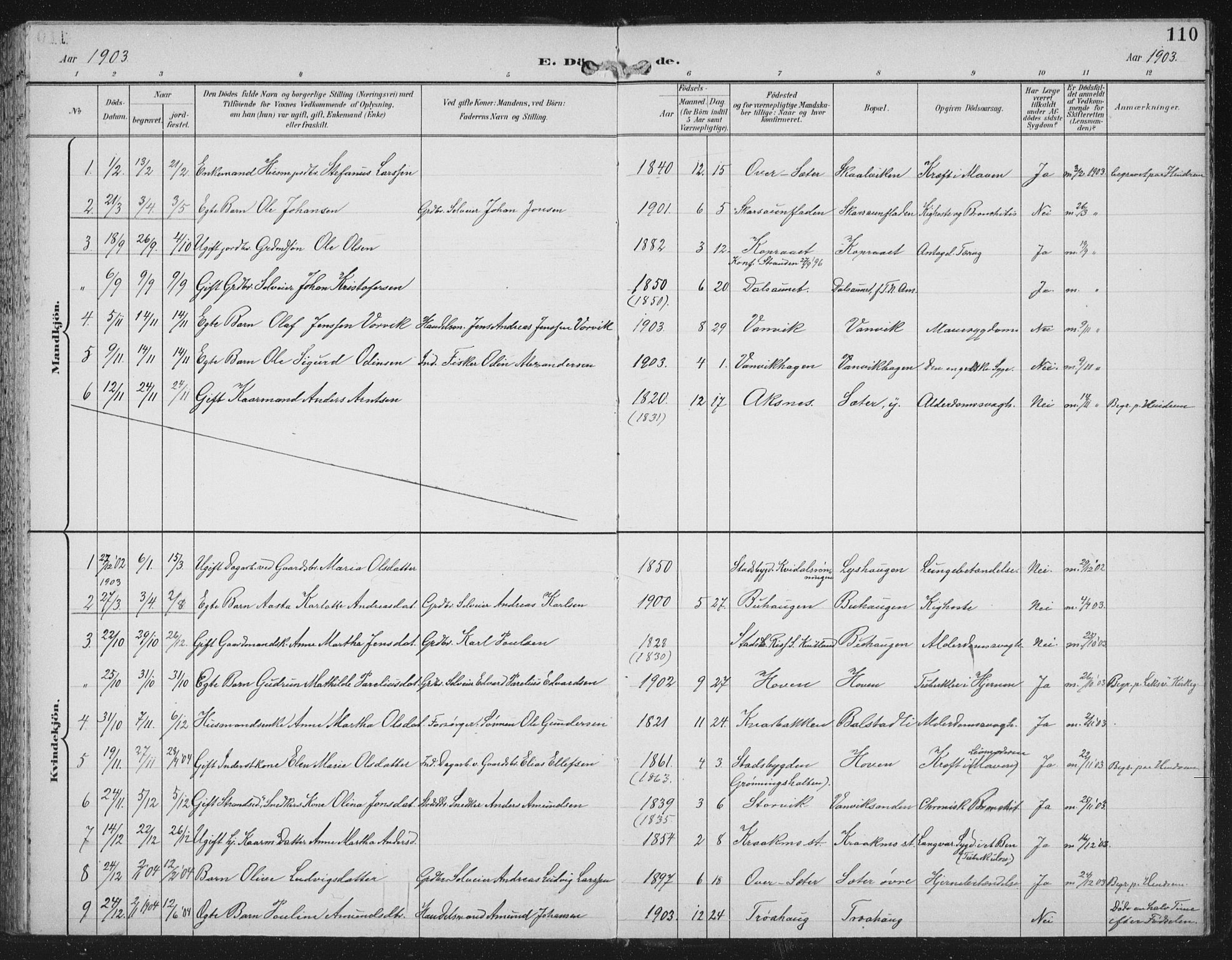 Ministerialprotokoller, klokkerbøker og fødselsregistre - Nord-Trøndelag, AV/SAT-A-1458/702/L0024: Parish register (official) no. 702A02, 1898-1914, p. 110