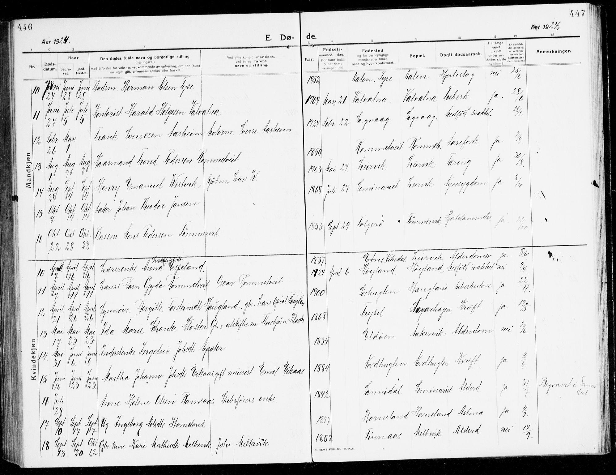 Stord sokneprestembete, AV/SAB-A-78201/H/Haa: Parish register (official) no. B 3, 1913-1925, p. 446-447