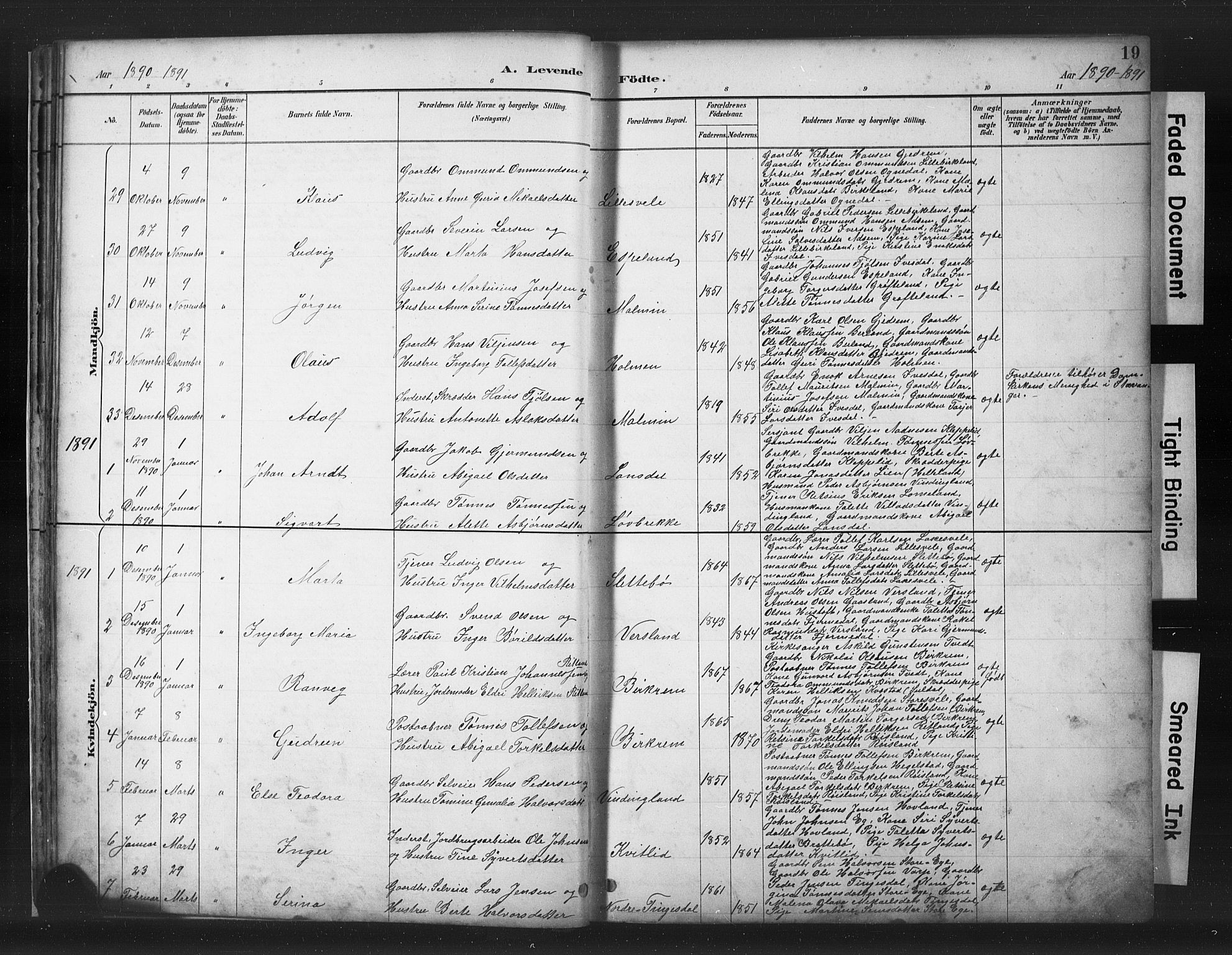 Helleland sokneprestkontor, SAST/A-101810: Parish register (copy) no. B 5, 1887-1908, p. 19