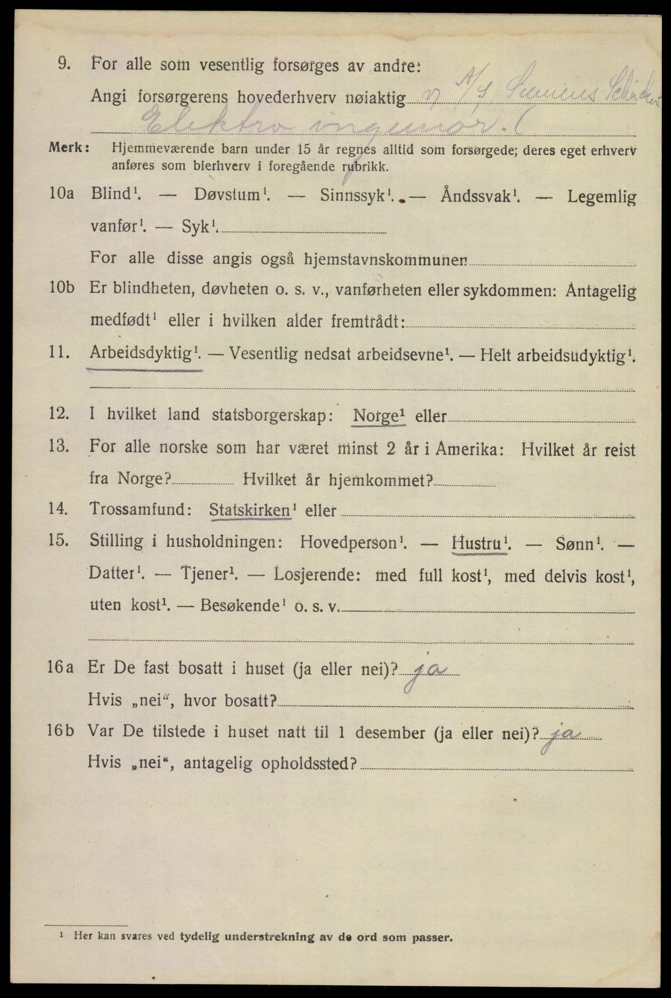 SAKO, 1920 census for Skien, 1920, p. 21233