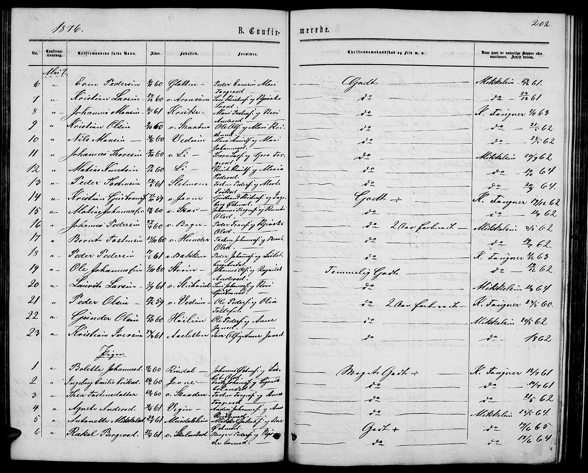 Øyer prestekontor, AV/SAH-PREST-084/H/Ha/Hab/L0001: Parish register (copy) no. 1, 1863-1877, p. 202