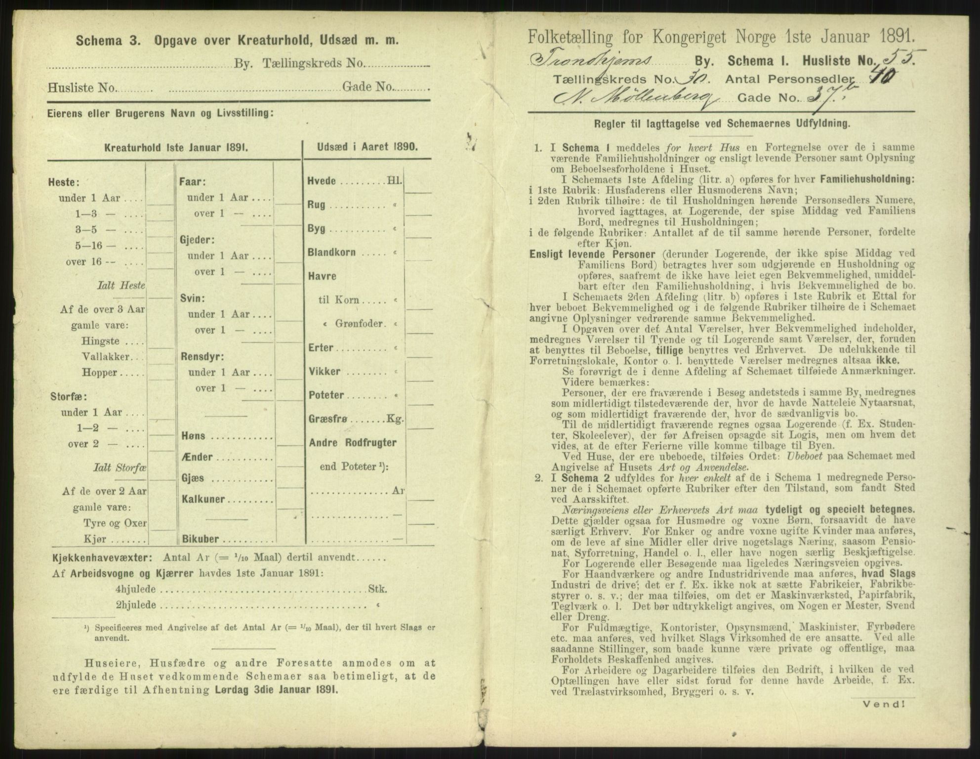 RA, 1891 census for 1601 Trondheim, 1891, p. 2302