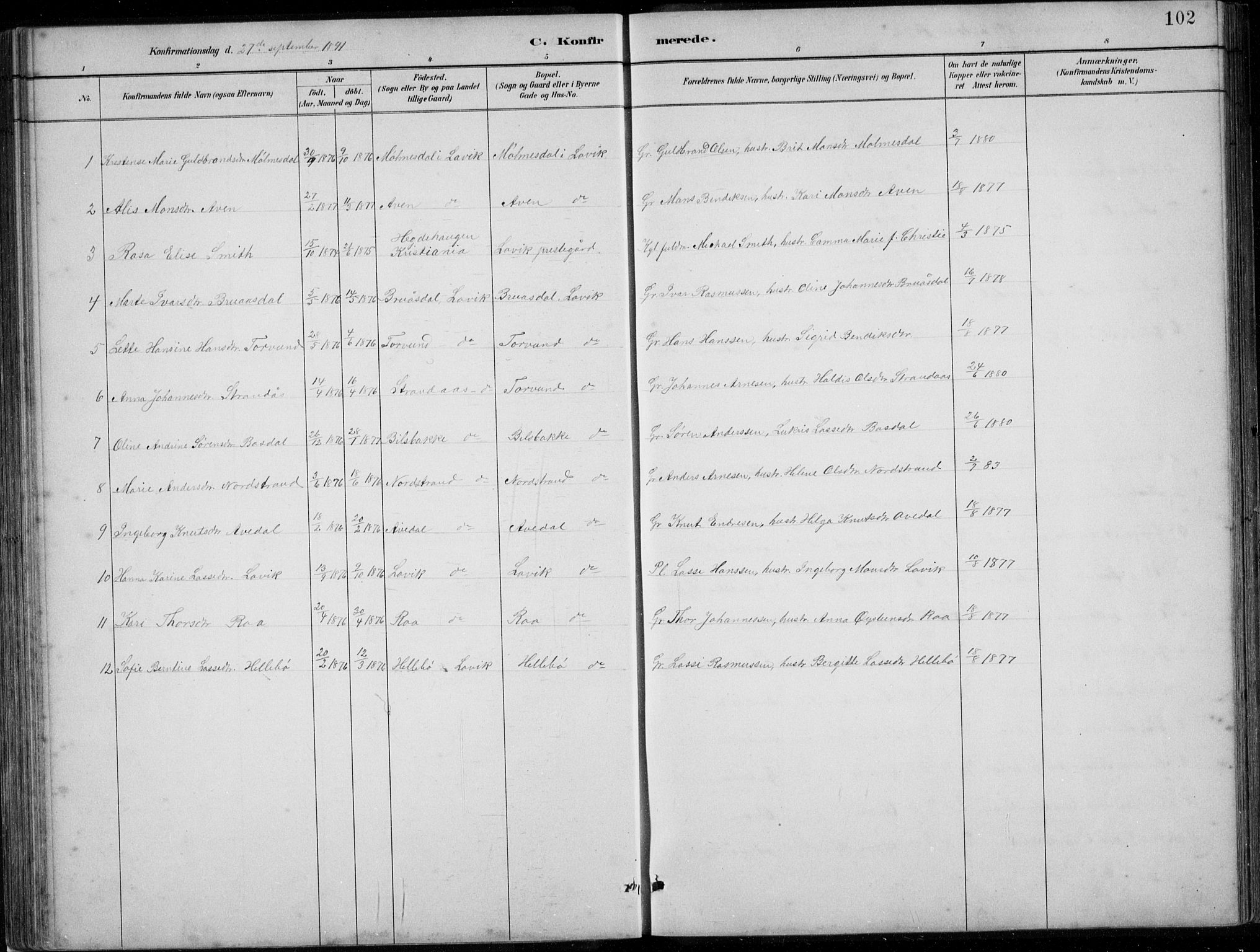 Lavik sokneprestembete, AV/SAB-A-80901: Parish register (copy) no. A 2, 1882-1910, p. 102