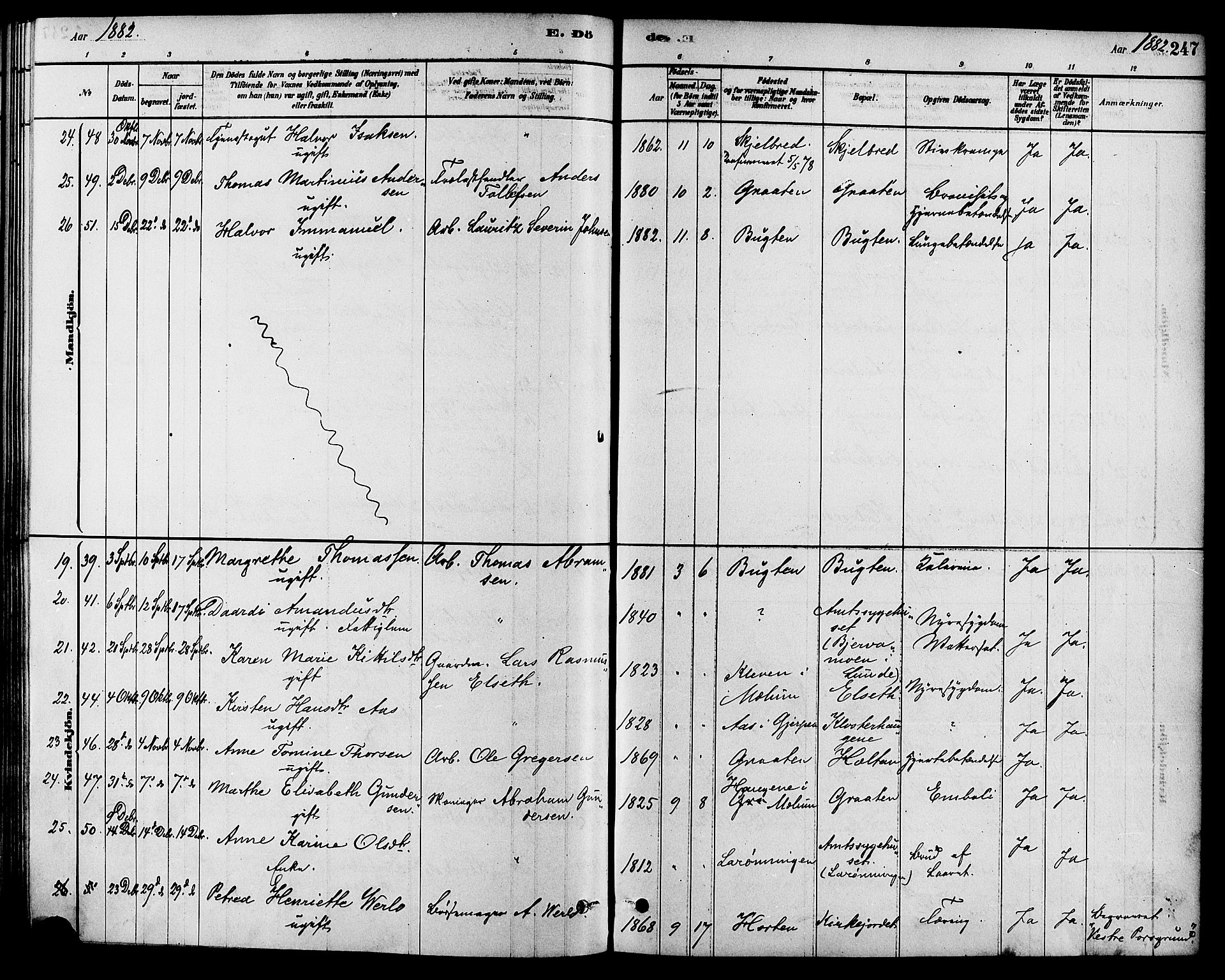 Solum kirkebøker, SAKO/A-306/F/Fa/L0009: Parish register (official) no. I 9, 1877-1887, p. 247