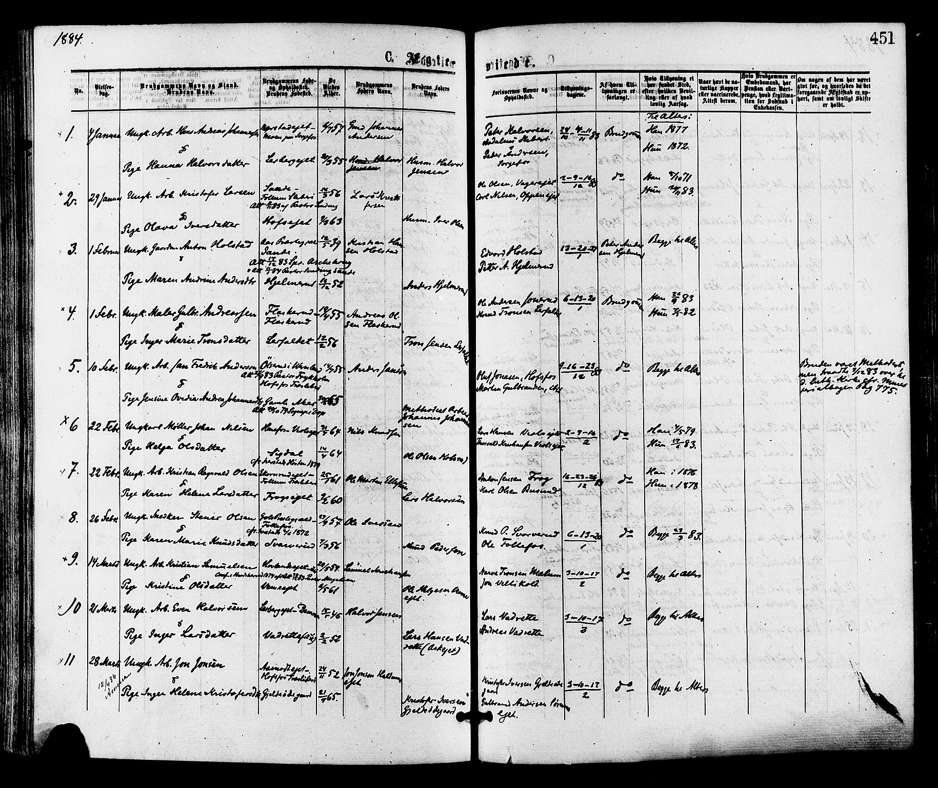 Norderhov kirkebøker, AV/SAKO-A-237/F/Fa/L0015: Parish register (official) no. 15, 1875-1884, p. 451