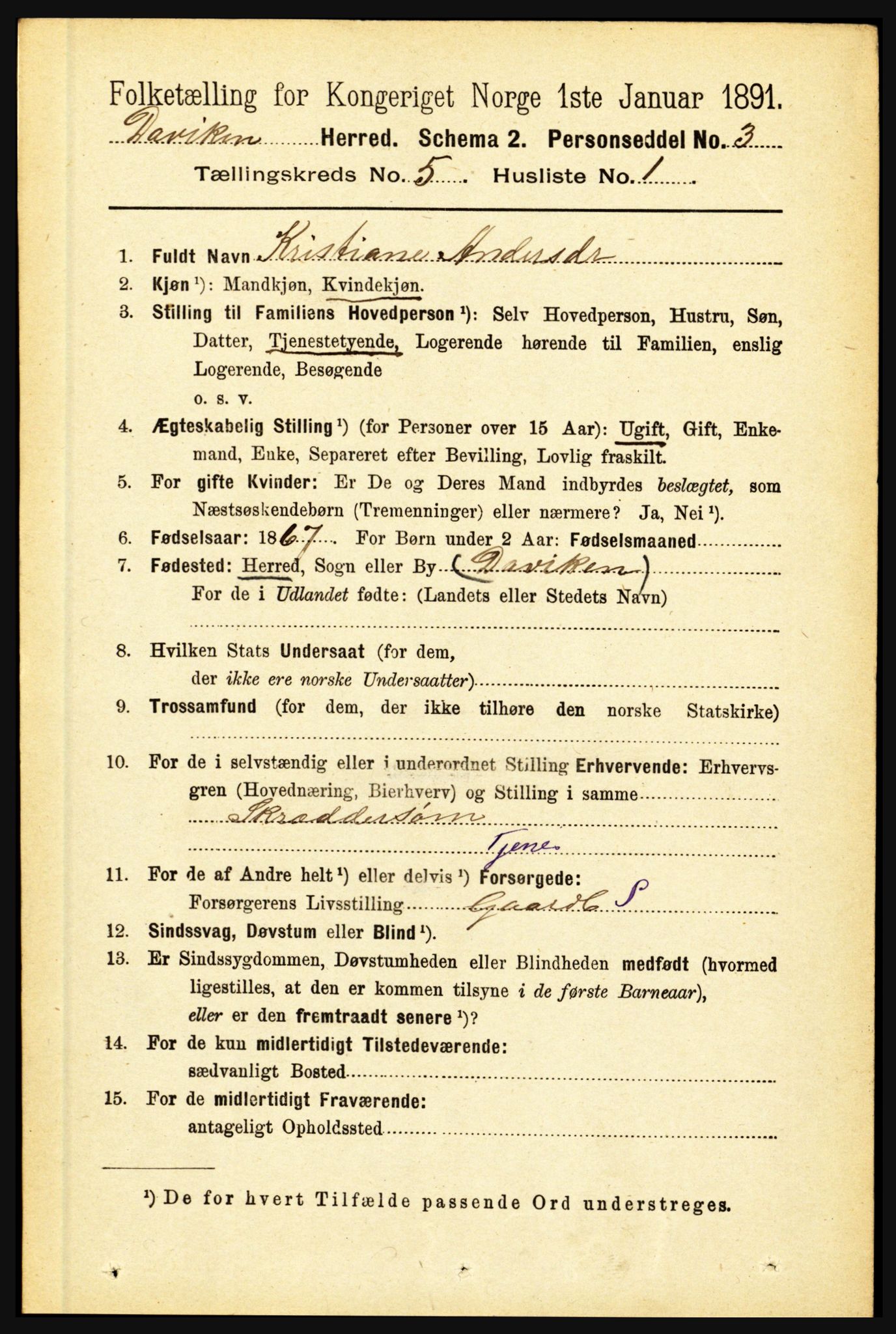 RA, 1891 census for 1442 Davik, 1891, p. 1813