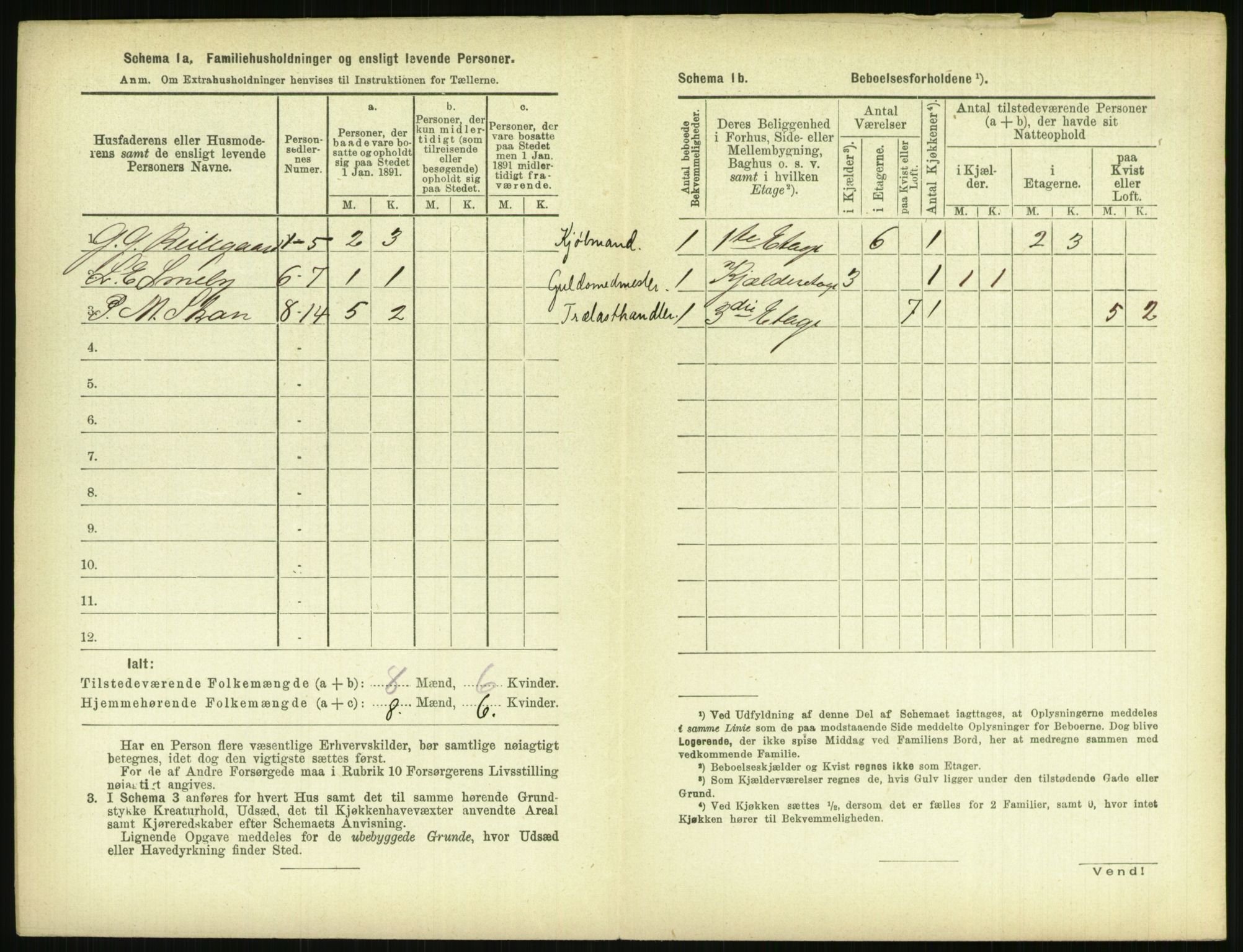 RA, 1891 census for 0806 Skien, 1891, p. 1005