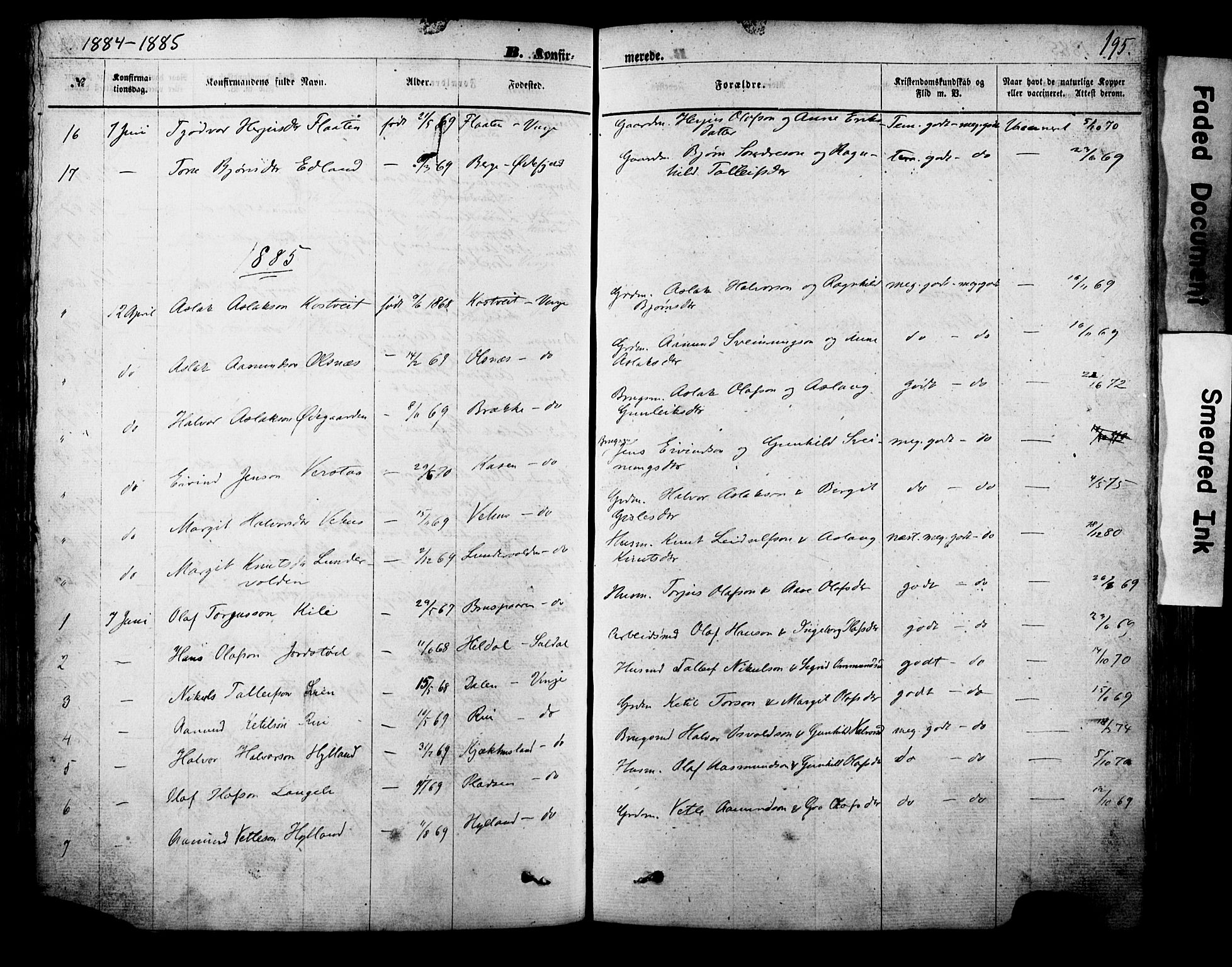 Vinje kirkebøker, SAKO/A-312/F/Fa/L0005: Parish register (official) no. I 5, 1870-1886, p. 195