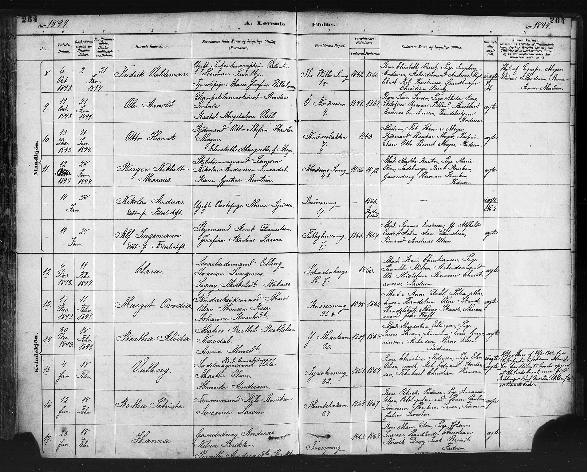 Nykirken Sokneprestembete, SAB/A-77101/H/Haa: Parish register (official) no. B 5, 1885-1894, p. 264