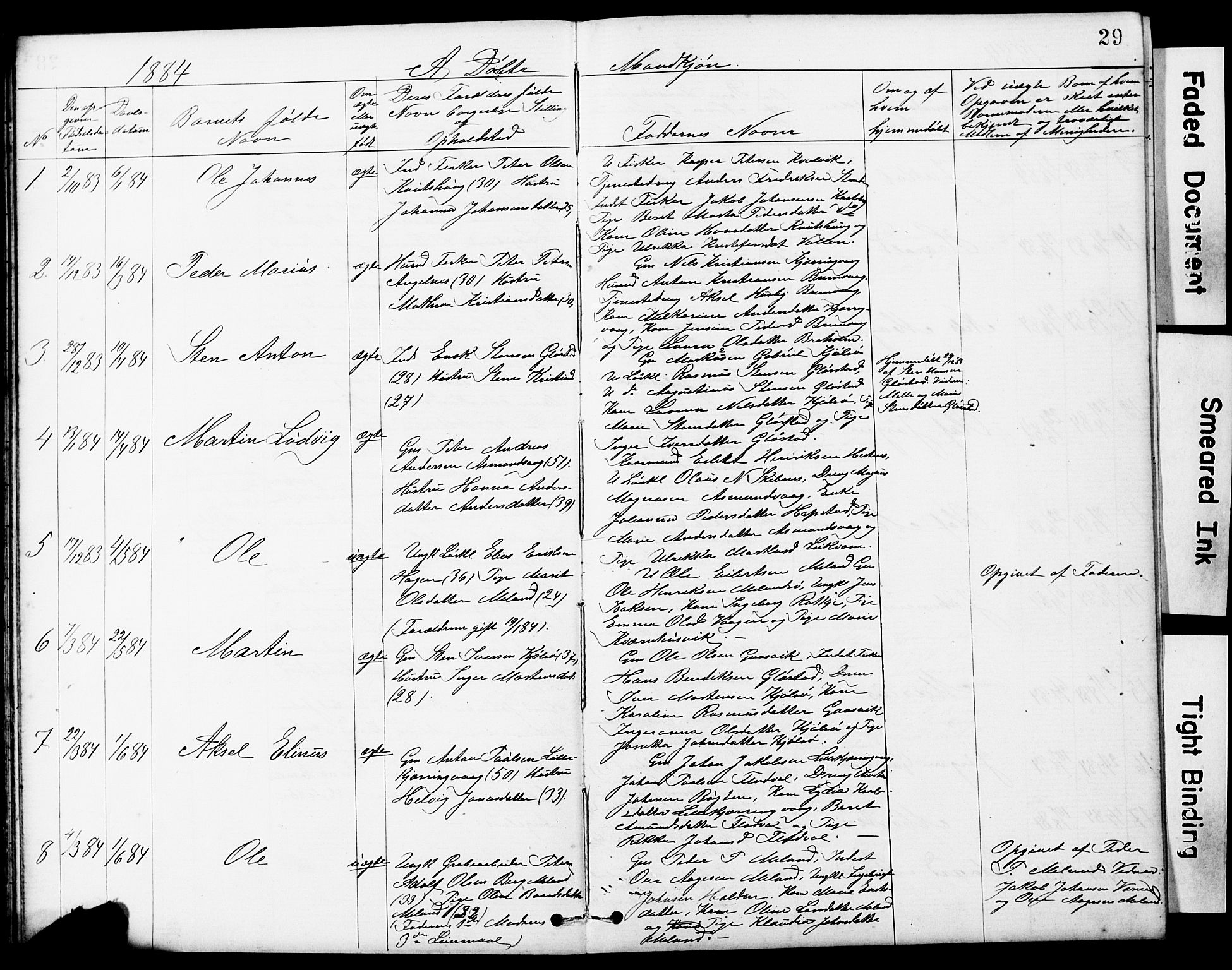 Ministerialprotokoller, klokkerbøker og fødselsregistre - Sør-Trøndelag, SAT/A-1456/634/L0541: Parish register (copy) no. 634C03, 1874-1891, p. 29