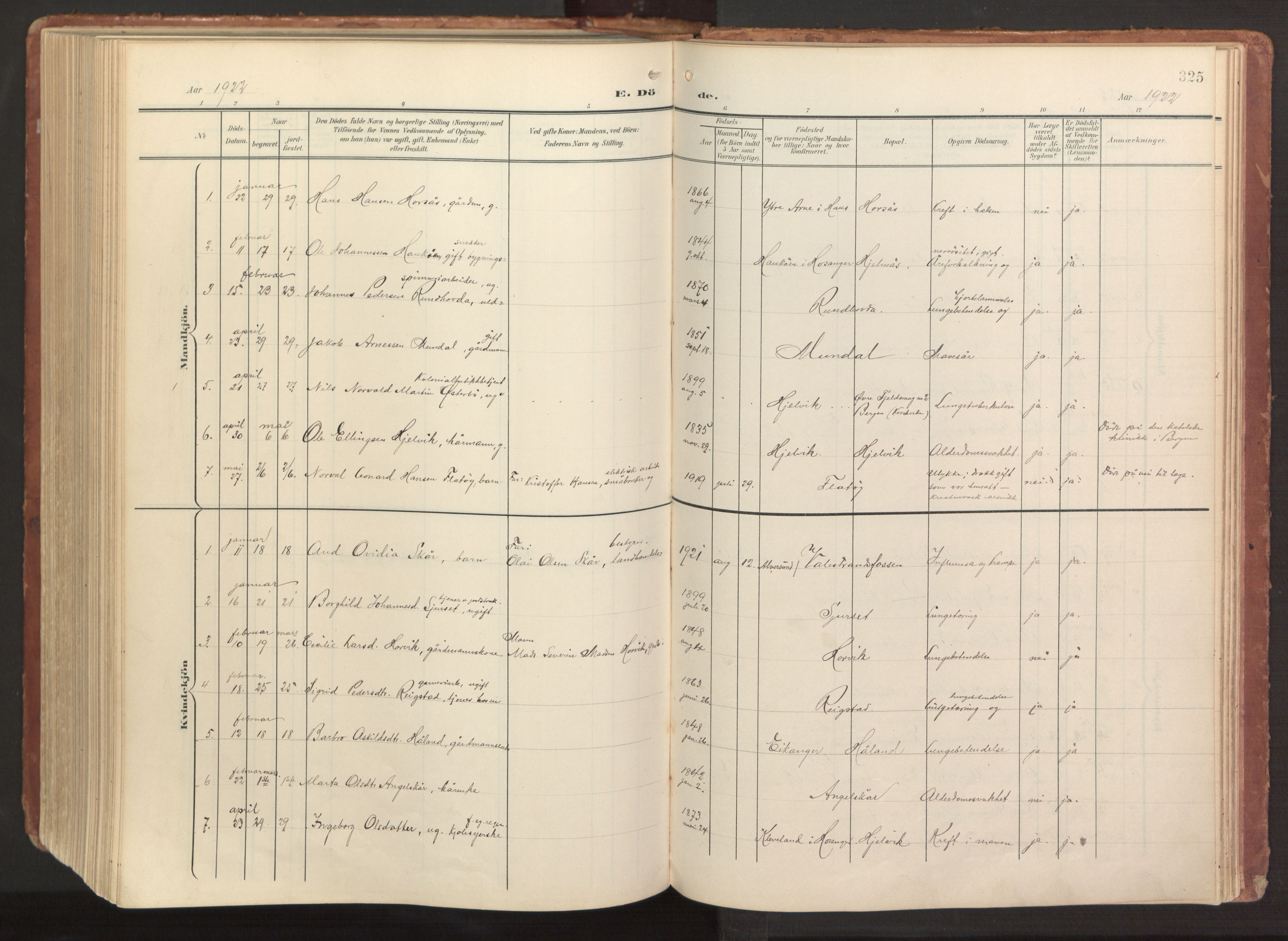 Hamre sokneprestembete, AV/SAB-A-75501/H/Ha/Haa/Haab/L0002: Parish register (official) no. B 2, 1905-1924, p. 325