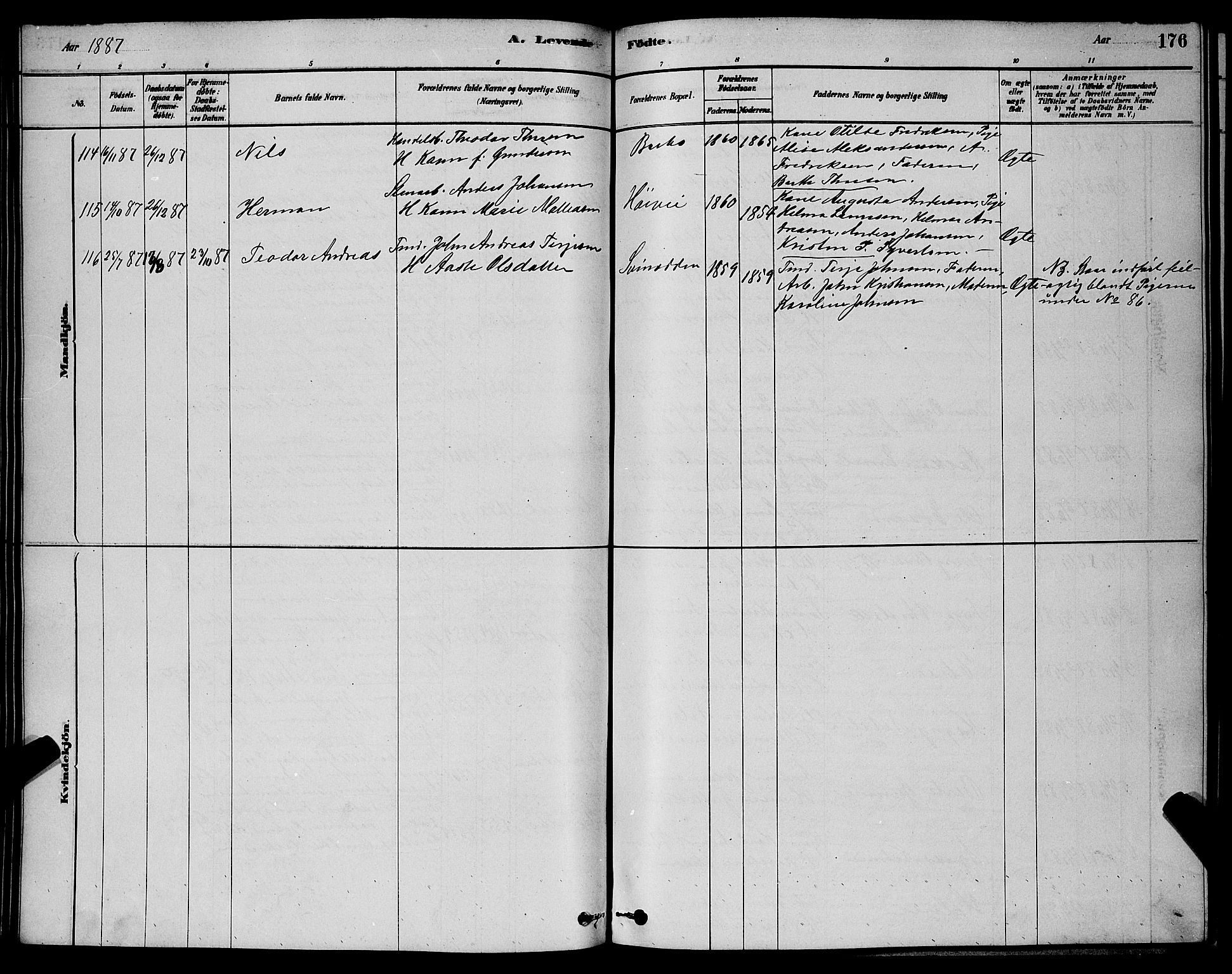 Barbu sokneprestkontor, AV/SAK-1111-0003/F/Fb/L0001: Parish register (copy) no. B 1, 1878-1890, p. 176