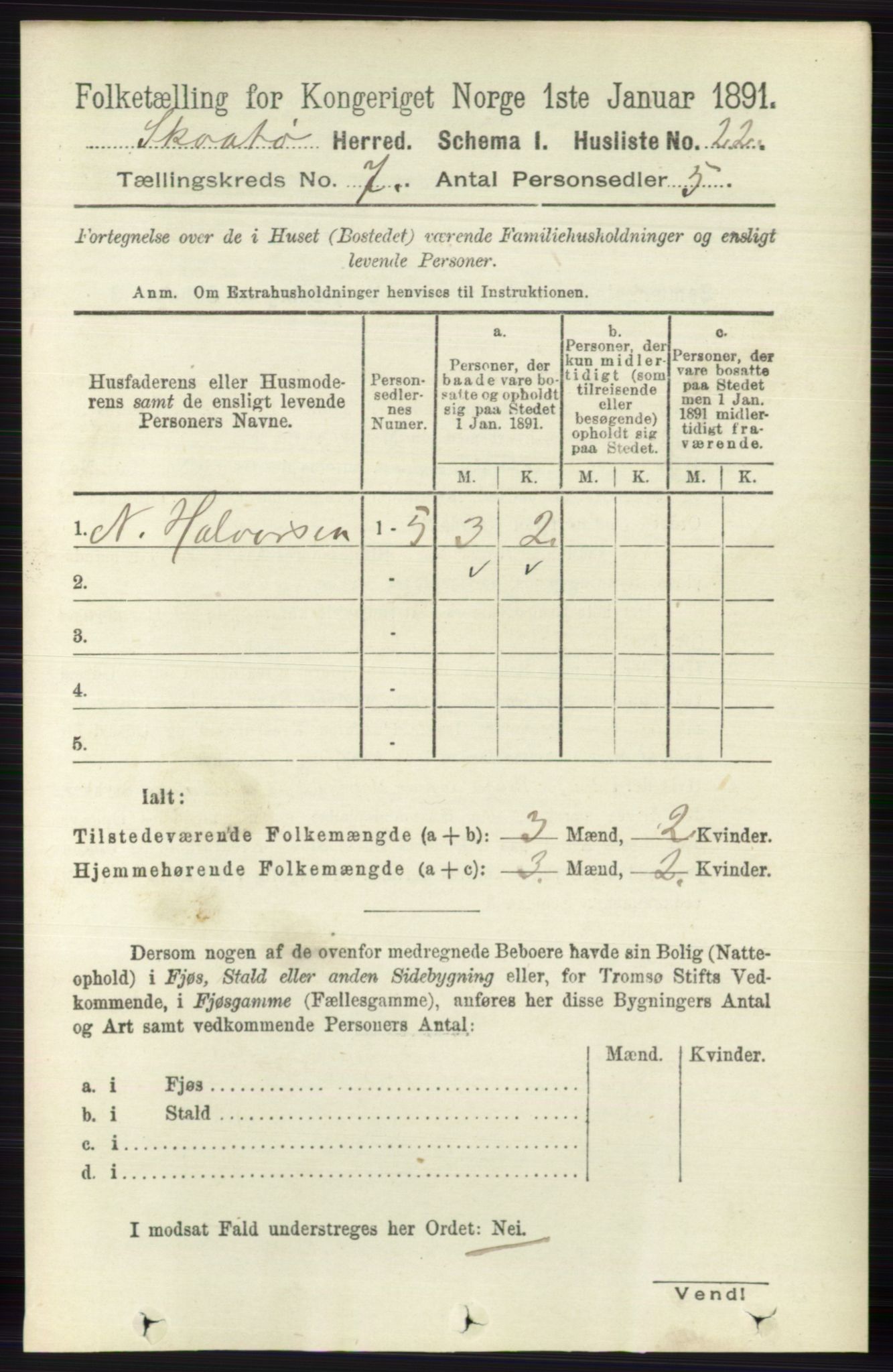 RA, 1891 census for 0815 Skåtøy, 1891, p. 3019