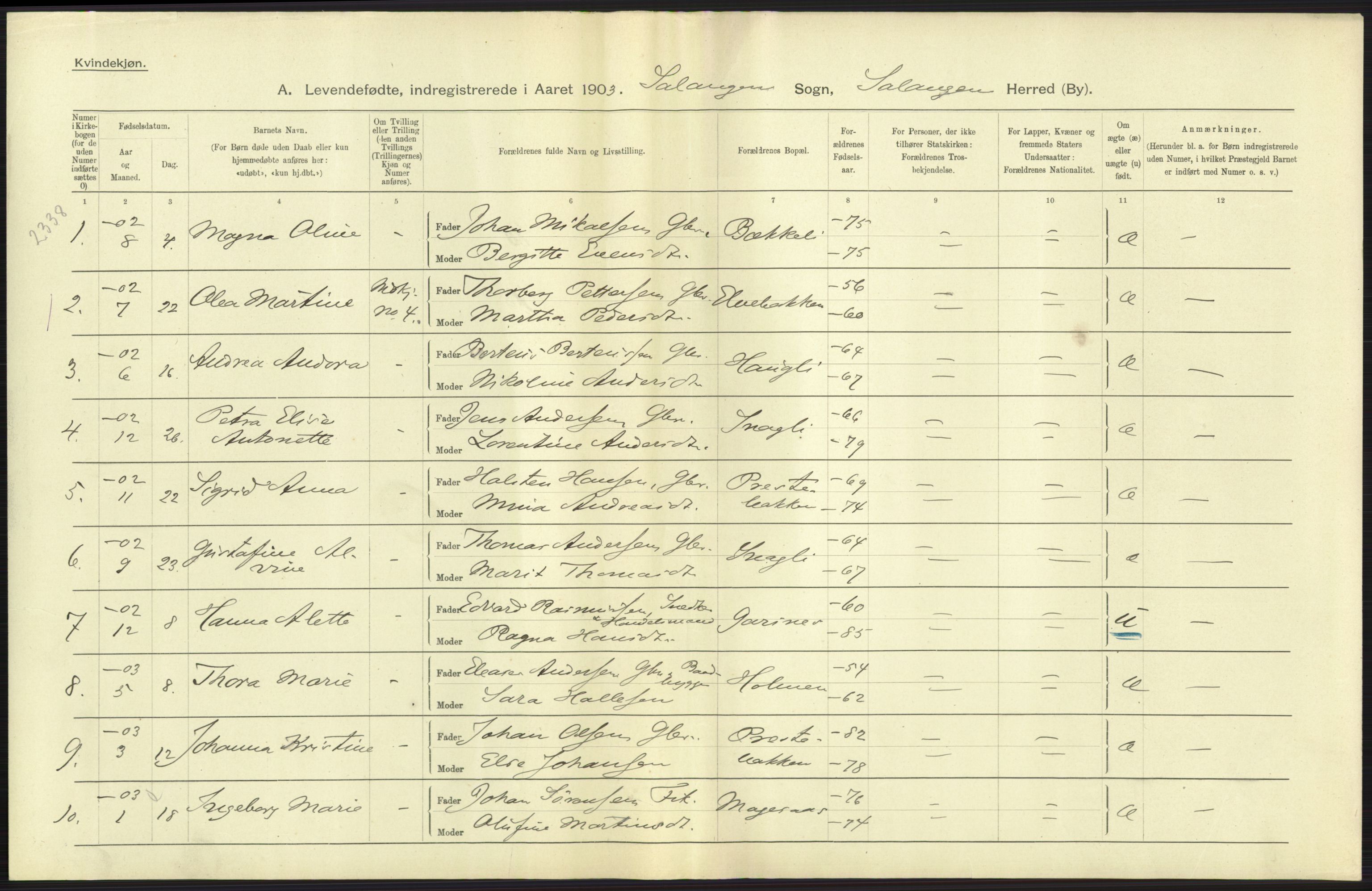 Statistisk sentralbyrå, Sosiodemografiske emner, Befolkning, AV/RA-S-2228/D/Df/Dfa/Dfaa/L0021: Tromsø amt: Fødte, gifte, døde., 1903, p. 29