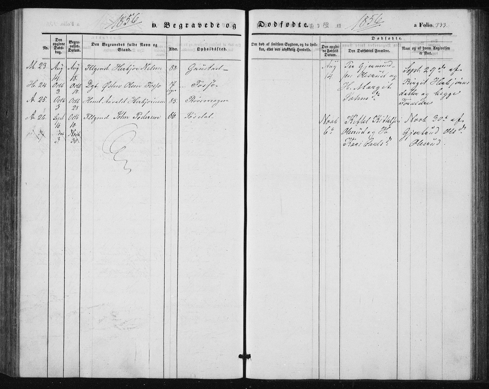 Tinn kirkebøker, AV/SAKO-A-308/F/Fa/L0005: Parish register (official) no. I 5, 1844-1856, p. 333