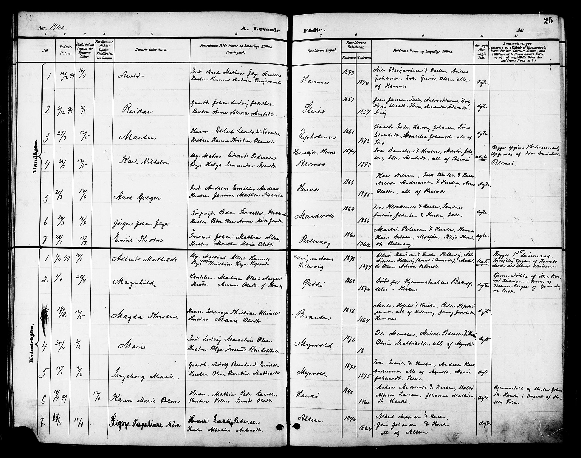 Ministerialprotokoller, klokkerbøker og fødselsregistre - Nordland, AV/SAT-A-1459/830/L0463: Parish register (copy) no. 830C05, 1895-1906, p. 25