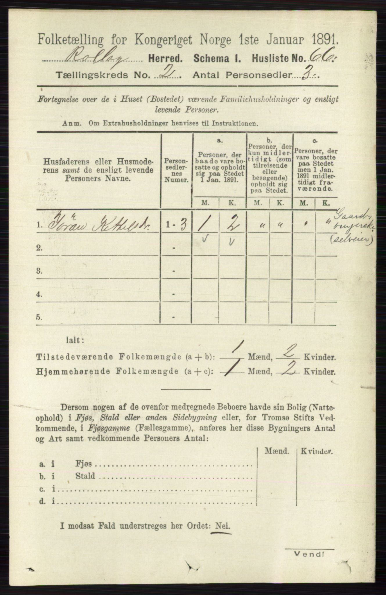 RA, 1891 census for 0632 Rollag, 1891, p. 482