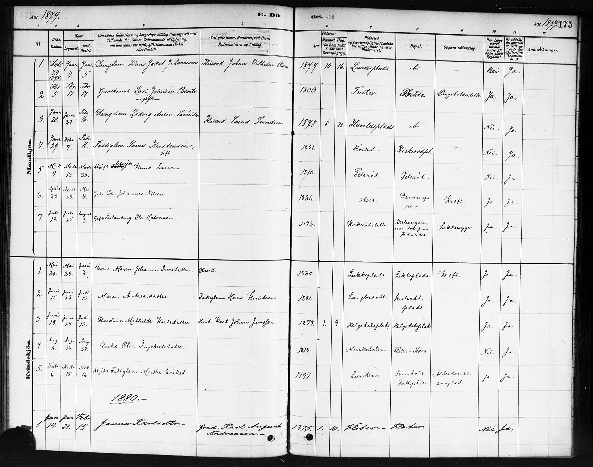 Våler prestekontor Kirkebøker, AV/SAO-A-11083/F/Fb/L0001: Parish register (official) no. II 1, 1878-1896, p. 175