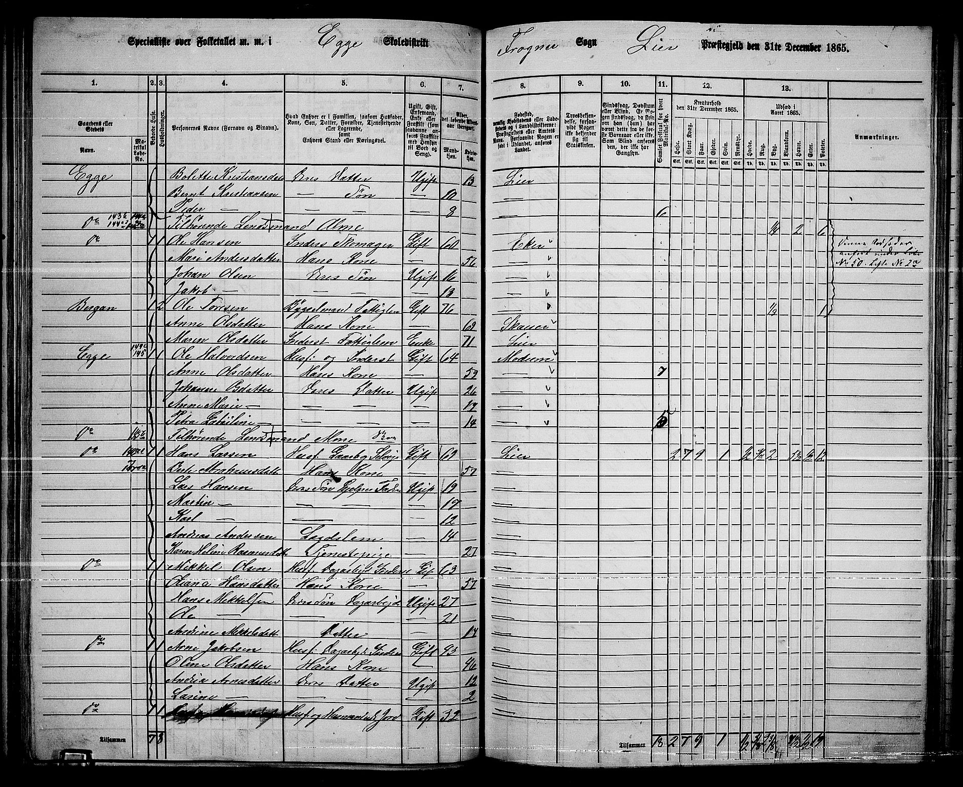 RA, 1865 census for Lier, 1865, p. 86