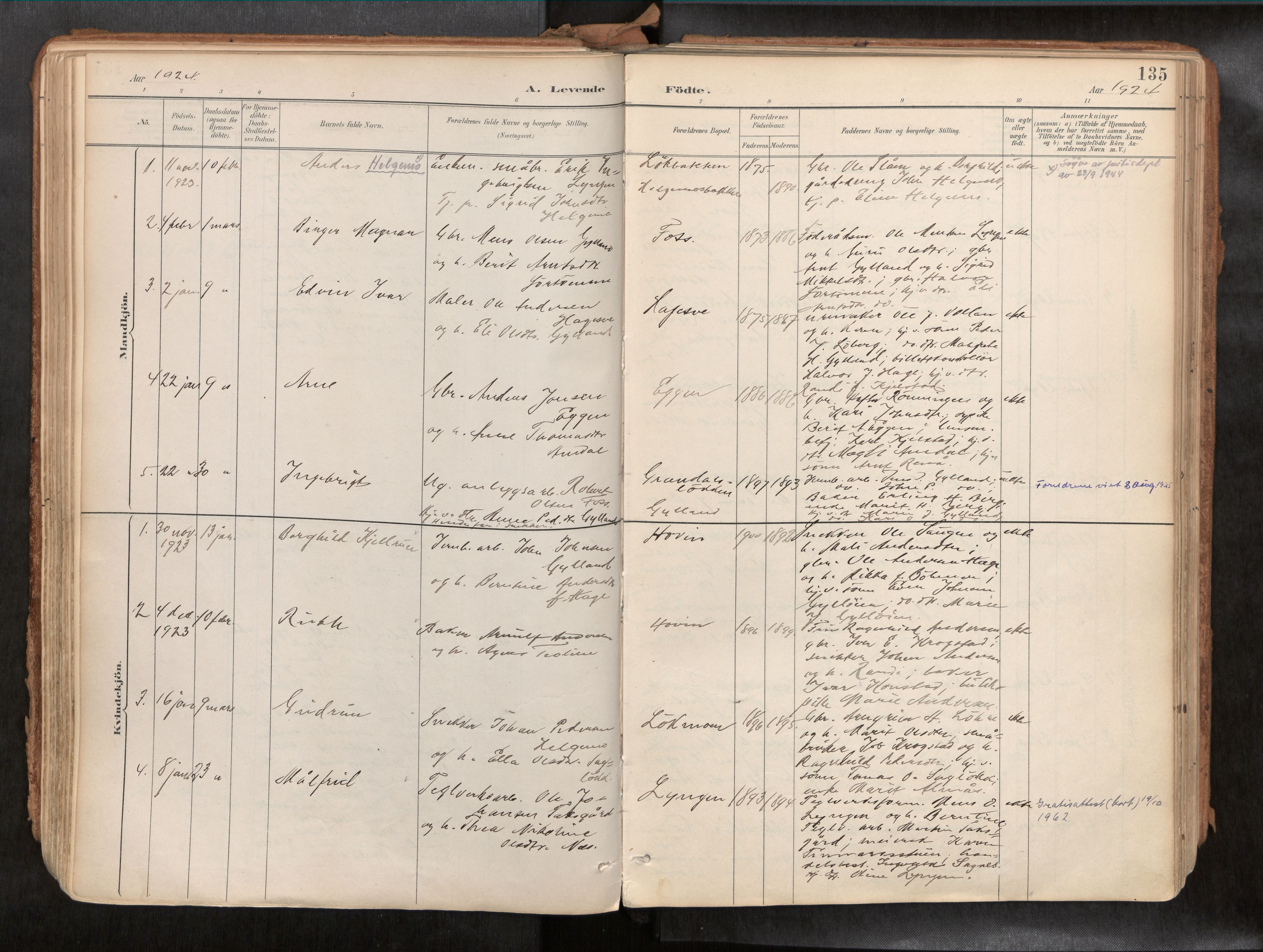 Ministerialprotokoller, klokkerbøker og fødselsregistre - Sør-Trøndelag, SAT/A-1456/692/L1105b: Parish register (official) no. 692A06, 1891-1934, p. 135