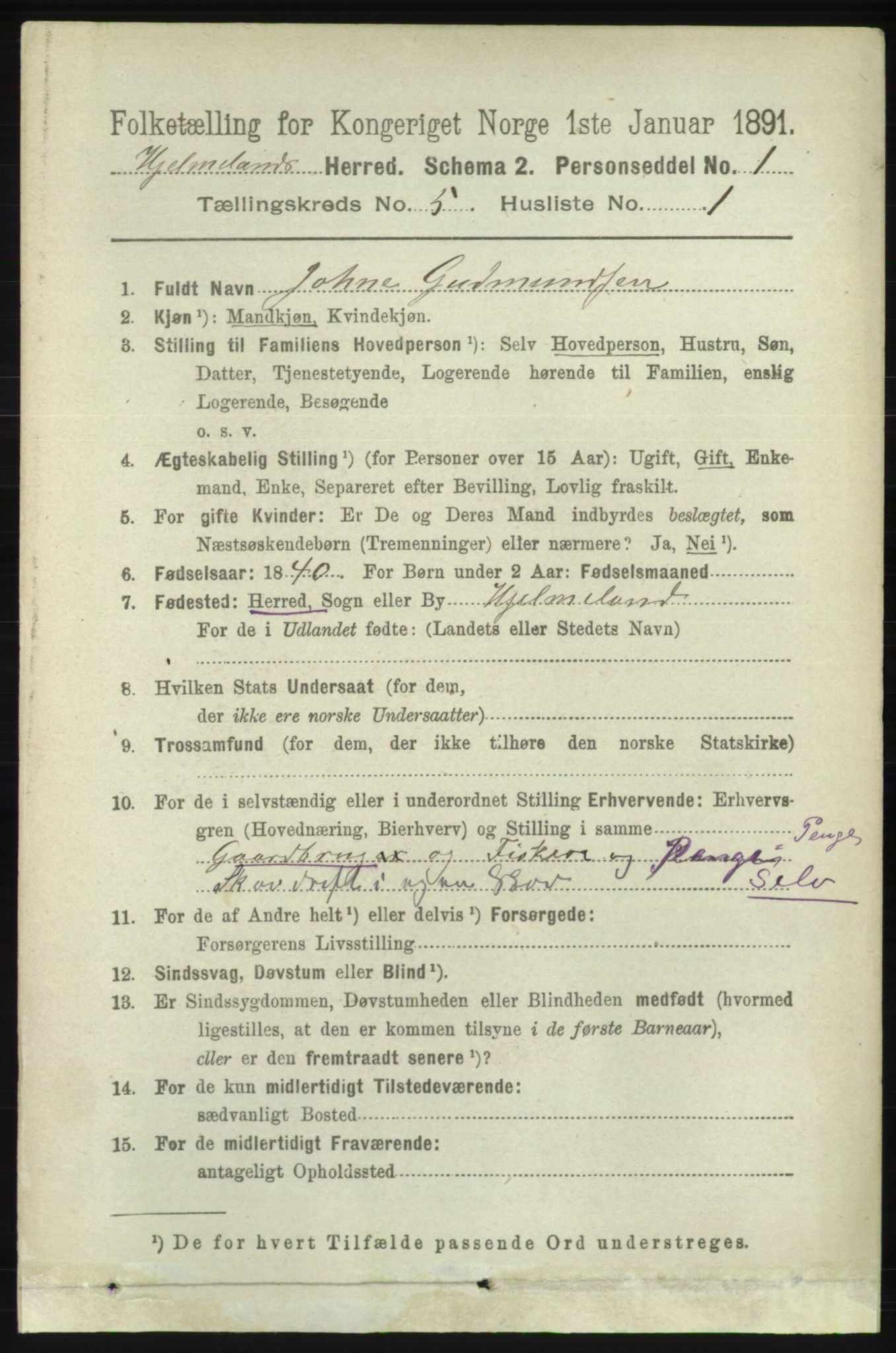 RA, 1891 census for 1133 Hjelmeland, 1891, p. 1151