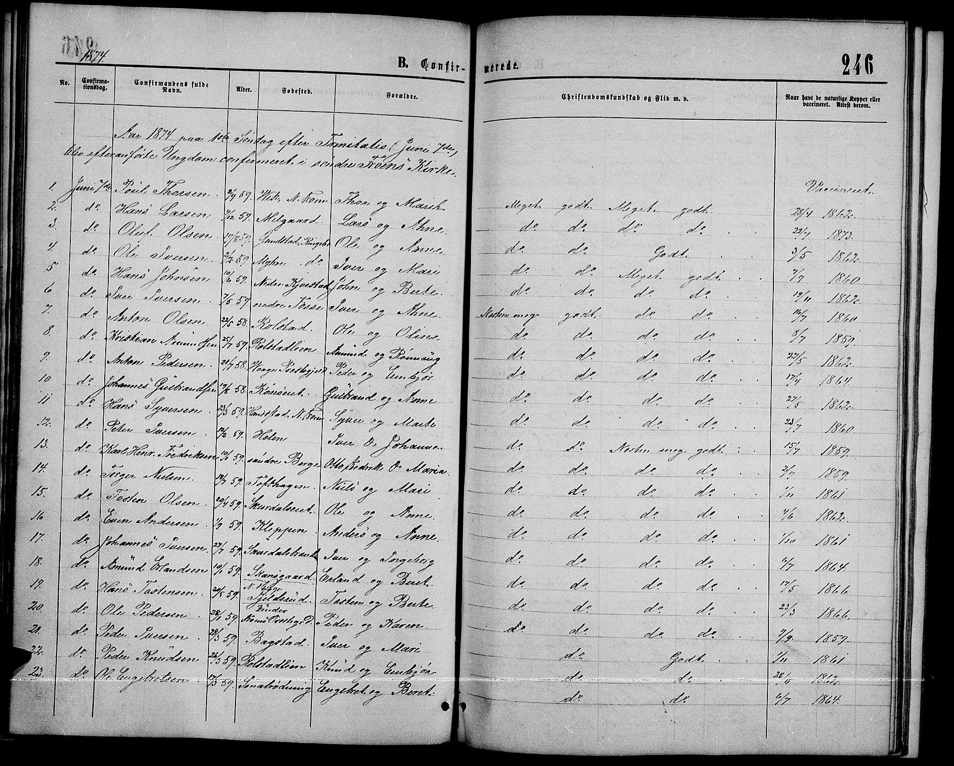 Sør-Fron prestekontor, SAH/PREST-010/H/Ha/Hab/L0002: Parish register (copy) no. 2, 1864-1883, p. 246