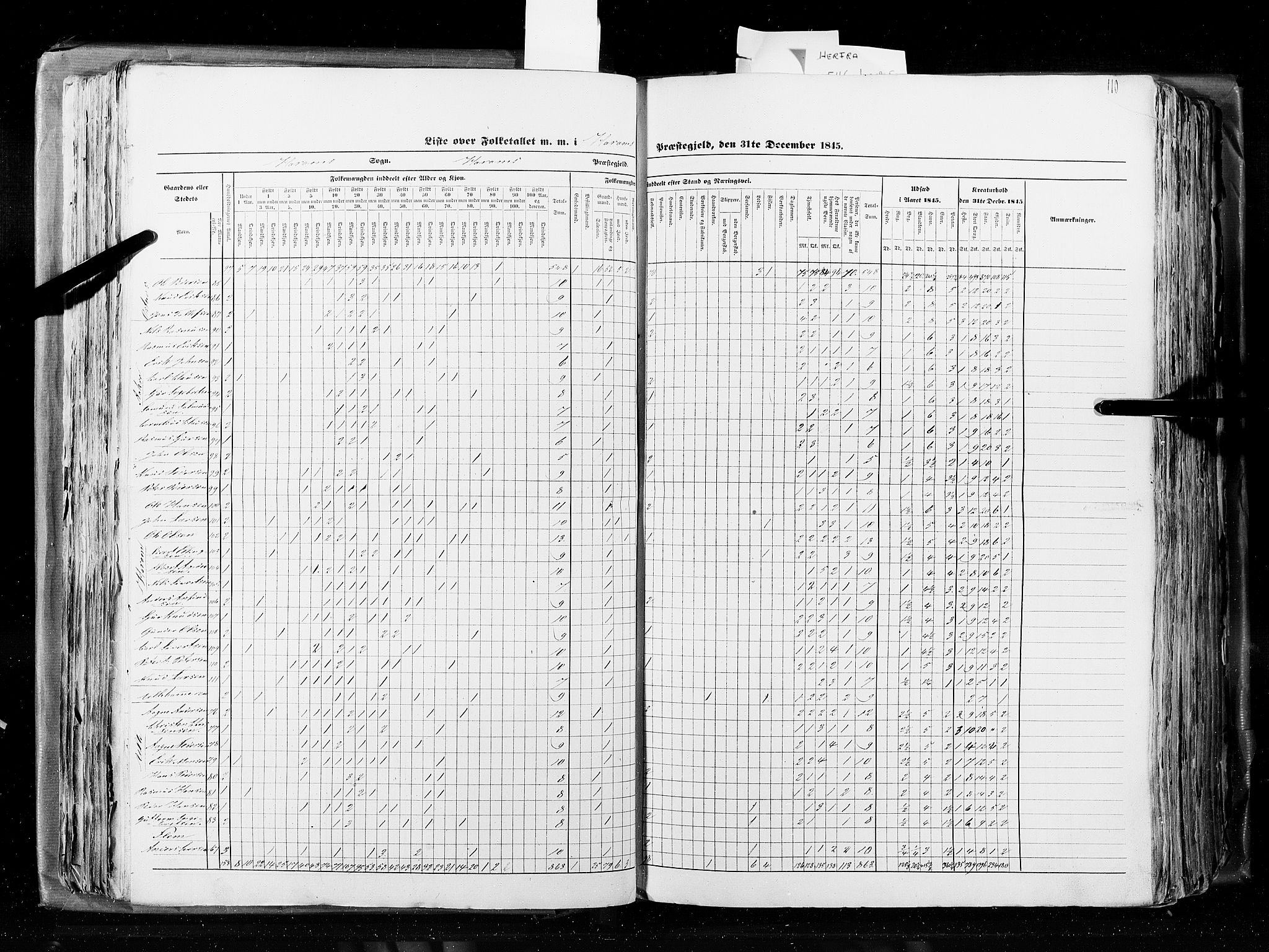 RA, Census 1845, vol. 8: Romsdal amt og Søndre Trondhjems amt, 1845, p. 110