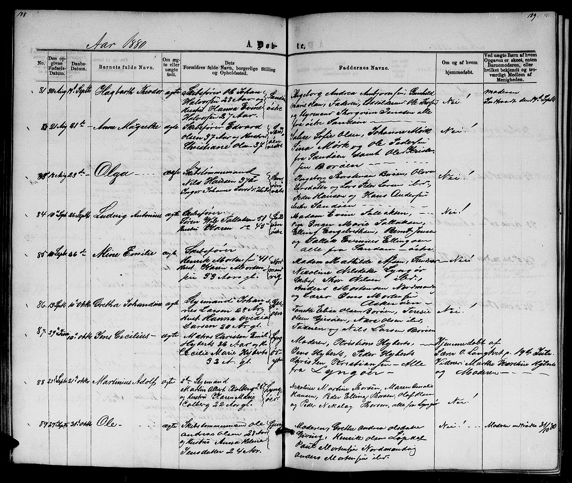 Dypvåg sokneprestkontor, AV/SAK-1111-0007/F/Fb/Fba/L0012: Parish register (copy) no. B 12, 1872-1886, p. 188-189