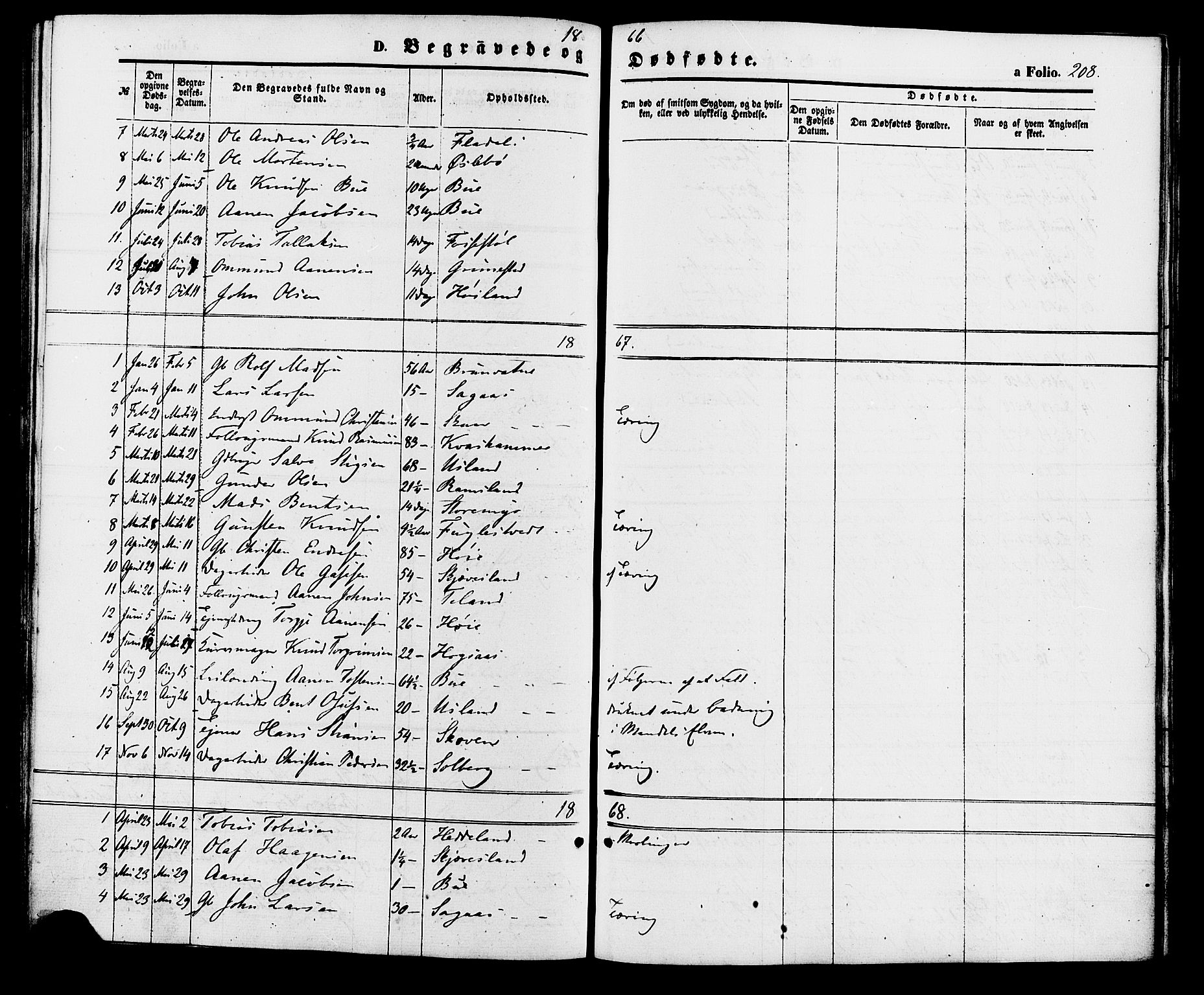 Holum sokneprestkontor, SAK/1111-0022/F/Fa/Fac/L0003: Parish register (official) no. A 3, 1860-1883, p. 208