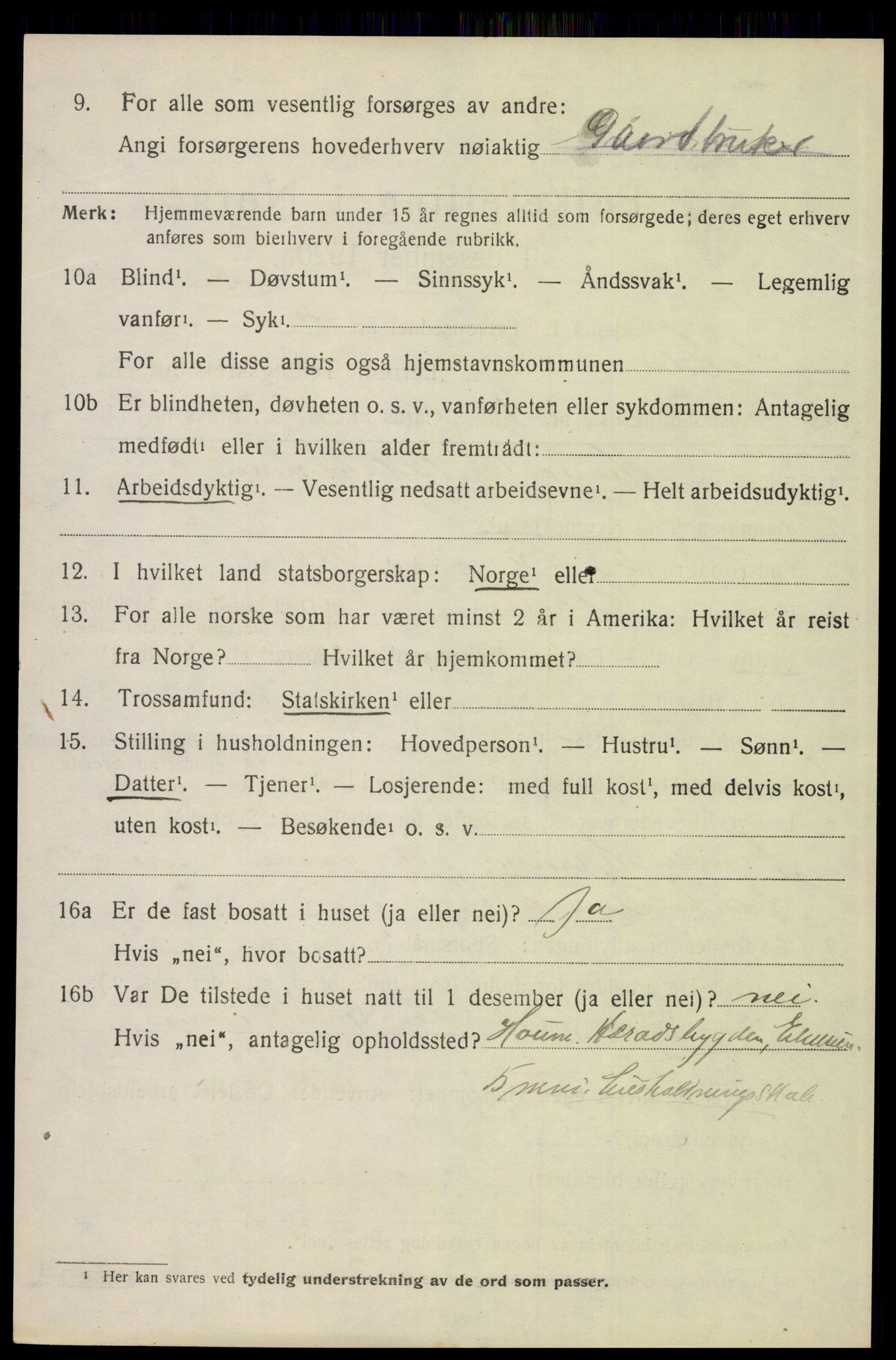 SAH, 1920 census for Elverum, 1920, p. 16171