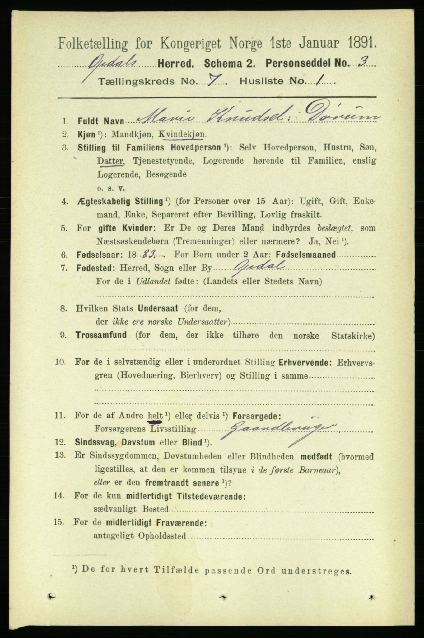 RA, 1891 census for 1634 Oppdal, 1891, p. 3500