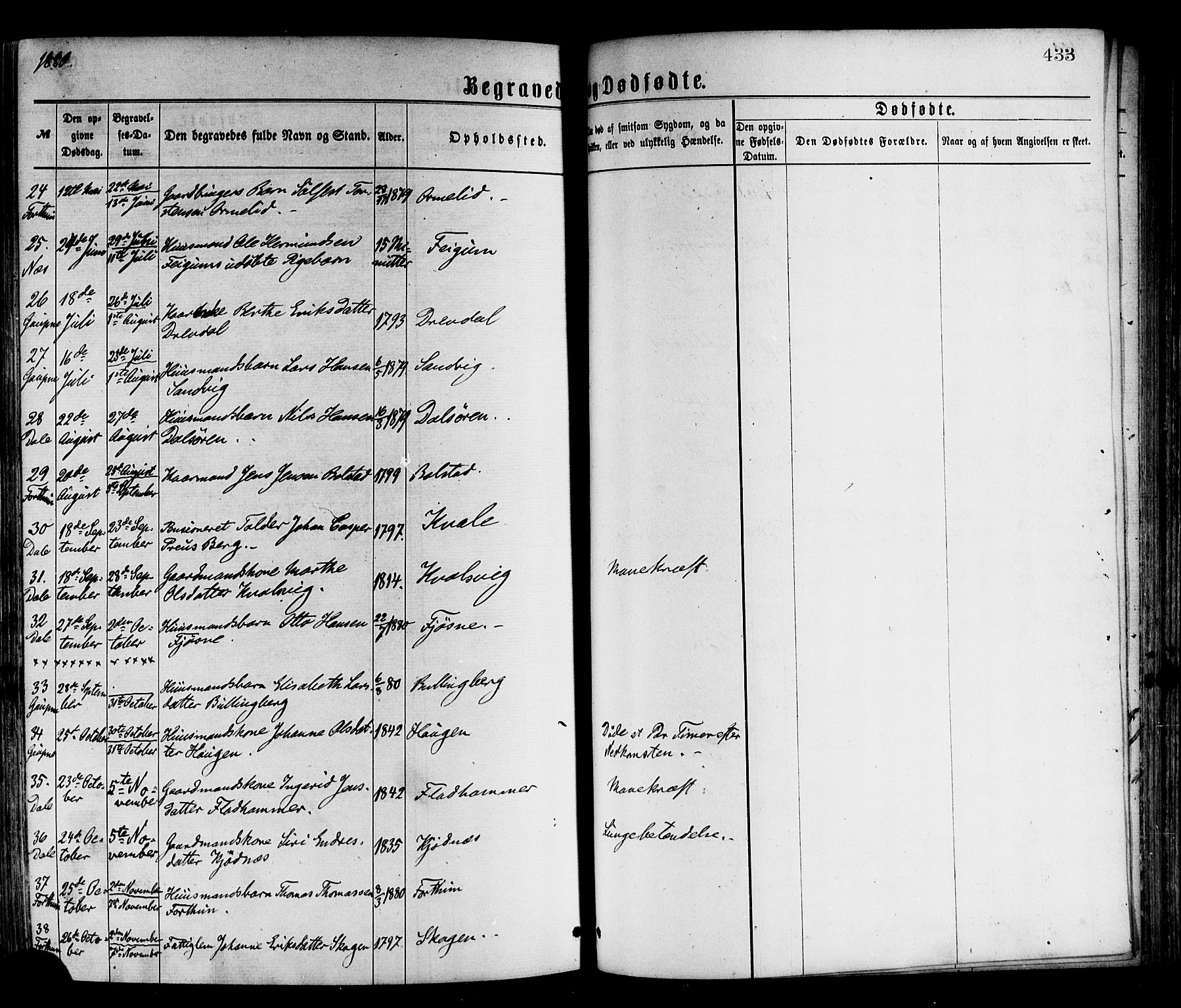 Luster sokneprestembete, AV/SAB-A-81101/H/Haa/Haaa/L0010: Parish register (official) no. A 10, 1871-1886, p. 433