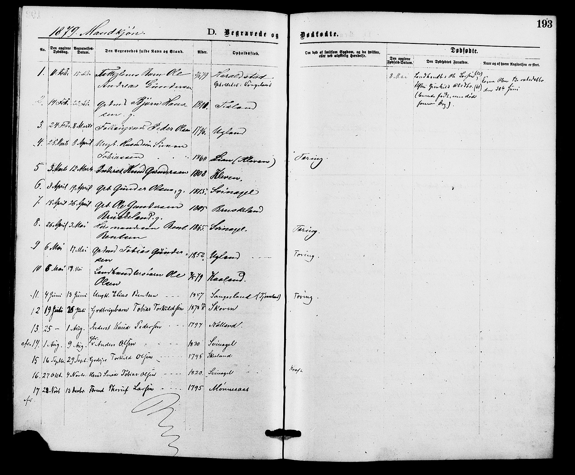 Holum sokneprestkontor, AV/SAK-1111-0022/F/Fa/Fab/L0006: Parish register (official) no. A 6, 1875-1886, p. 193