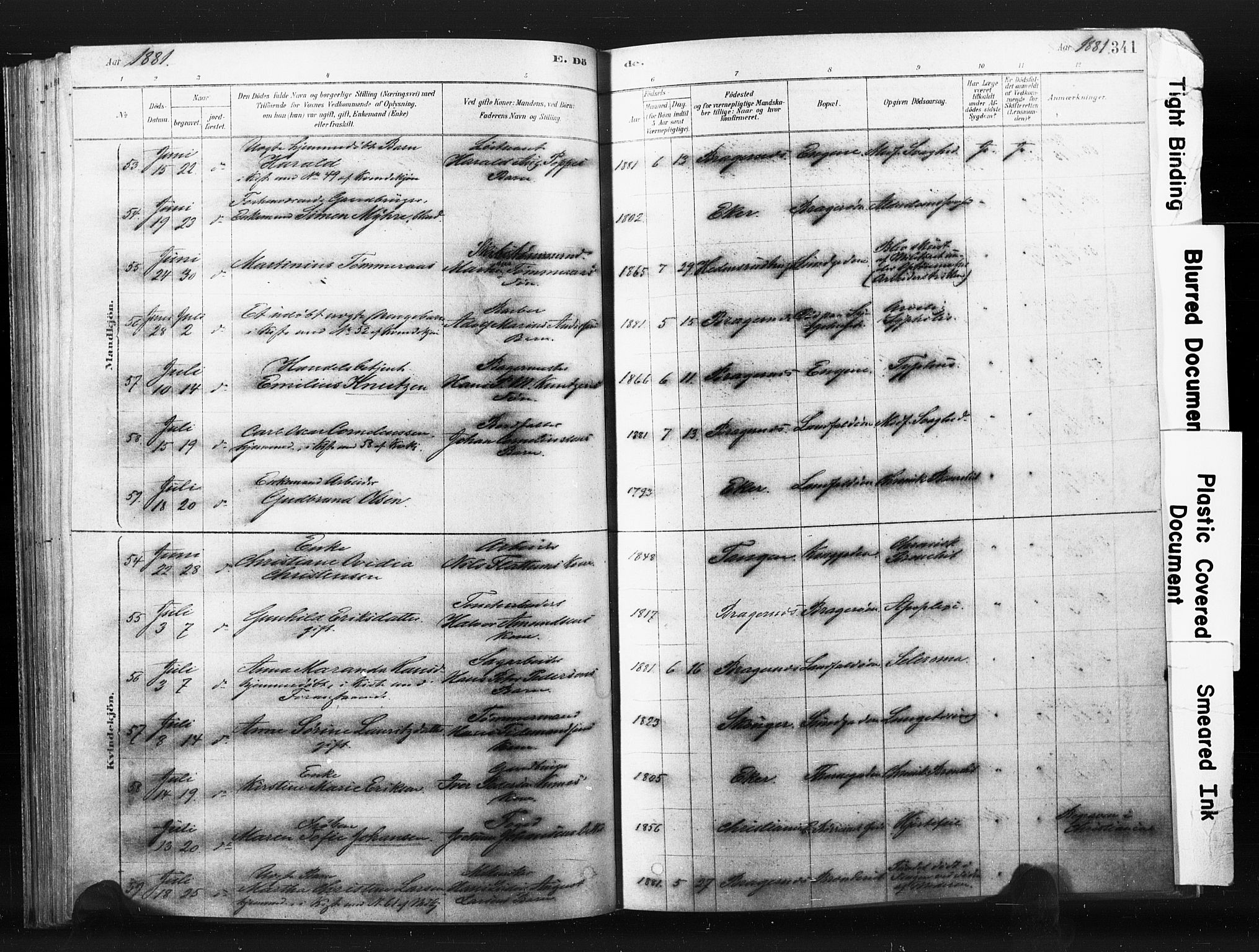 Bragernes kirkebøker, AV/SAKO-A-6/F/Fb/L0006b: Parish register (official) no. II 6B, 1878-1885, p. 341