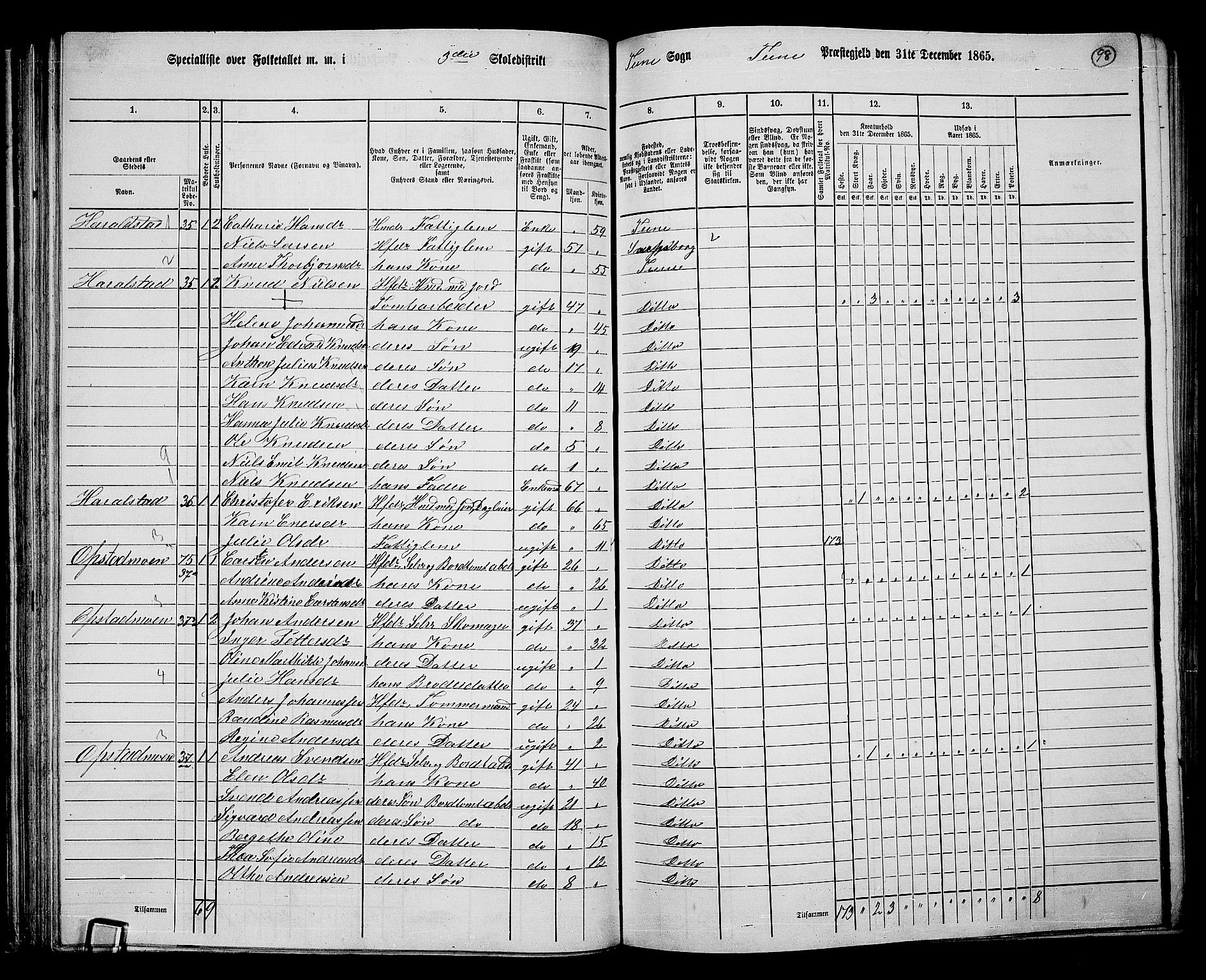 RA, 1865 census for Tune, 1865, p. 91