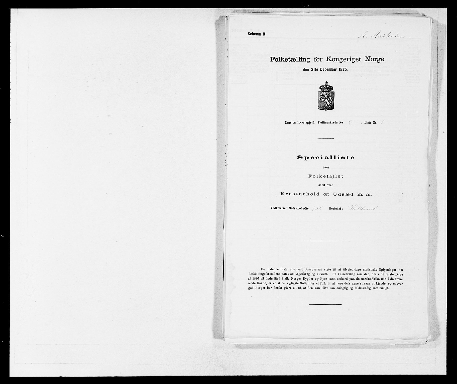 SAB, 1875 census for 1251P Bruvik, 1875, p. 98