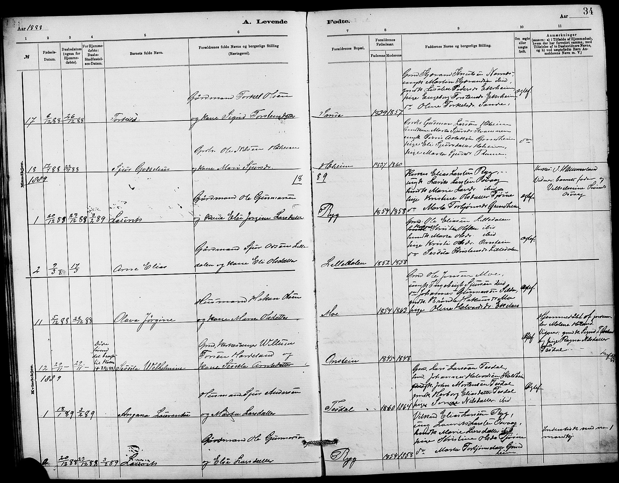 Etne sokneprestembete, SAB/A-75001/H/Hab: Parish register (copy) no. C 4, 1879-1896, p. 34