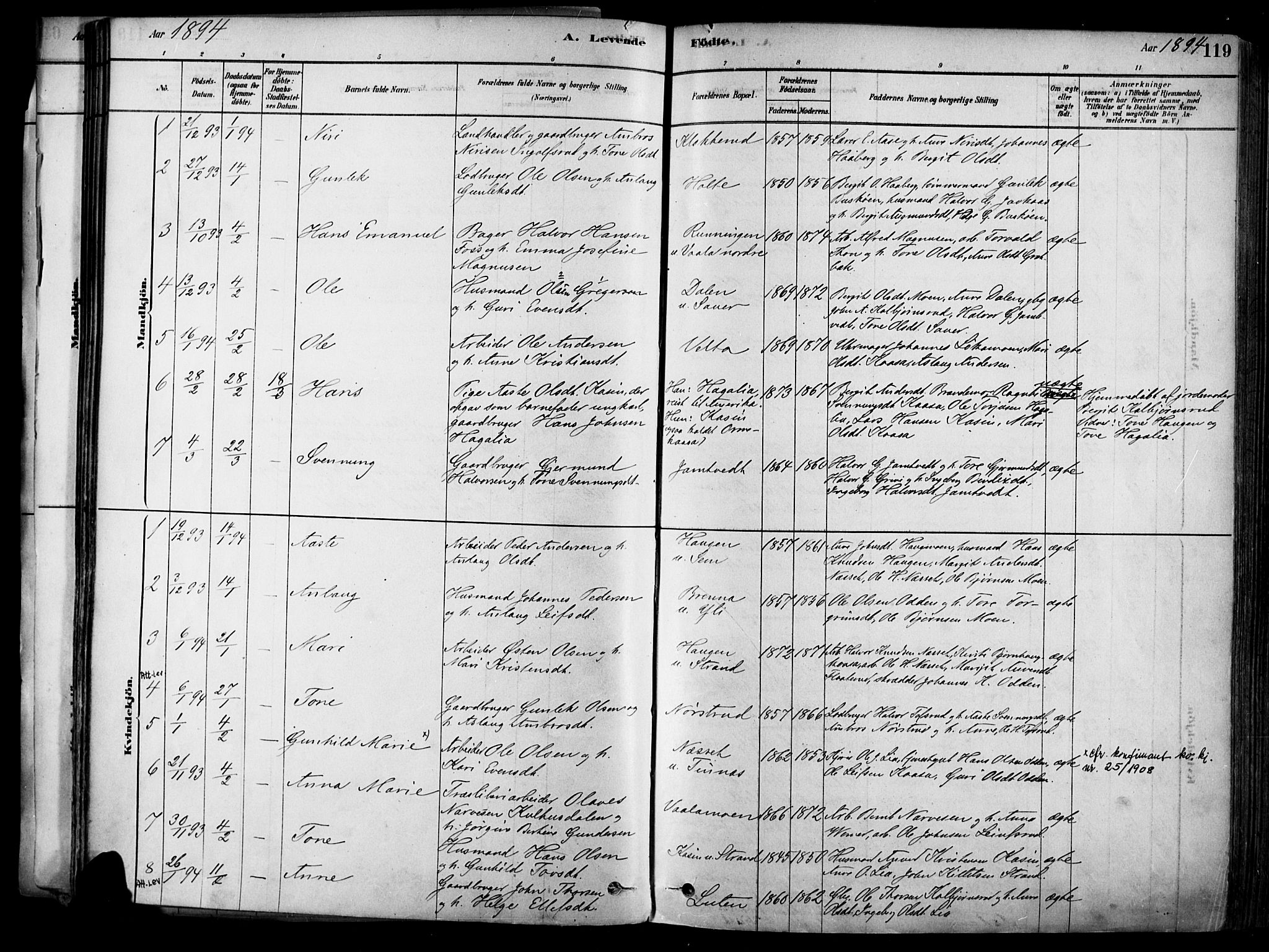 Heddal kirkebøker, SAKO/A-268/F/Fa/L0008: Parish register (official) no. I 8, 1878-1903, p. 119