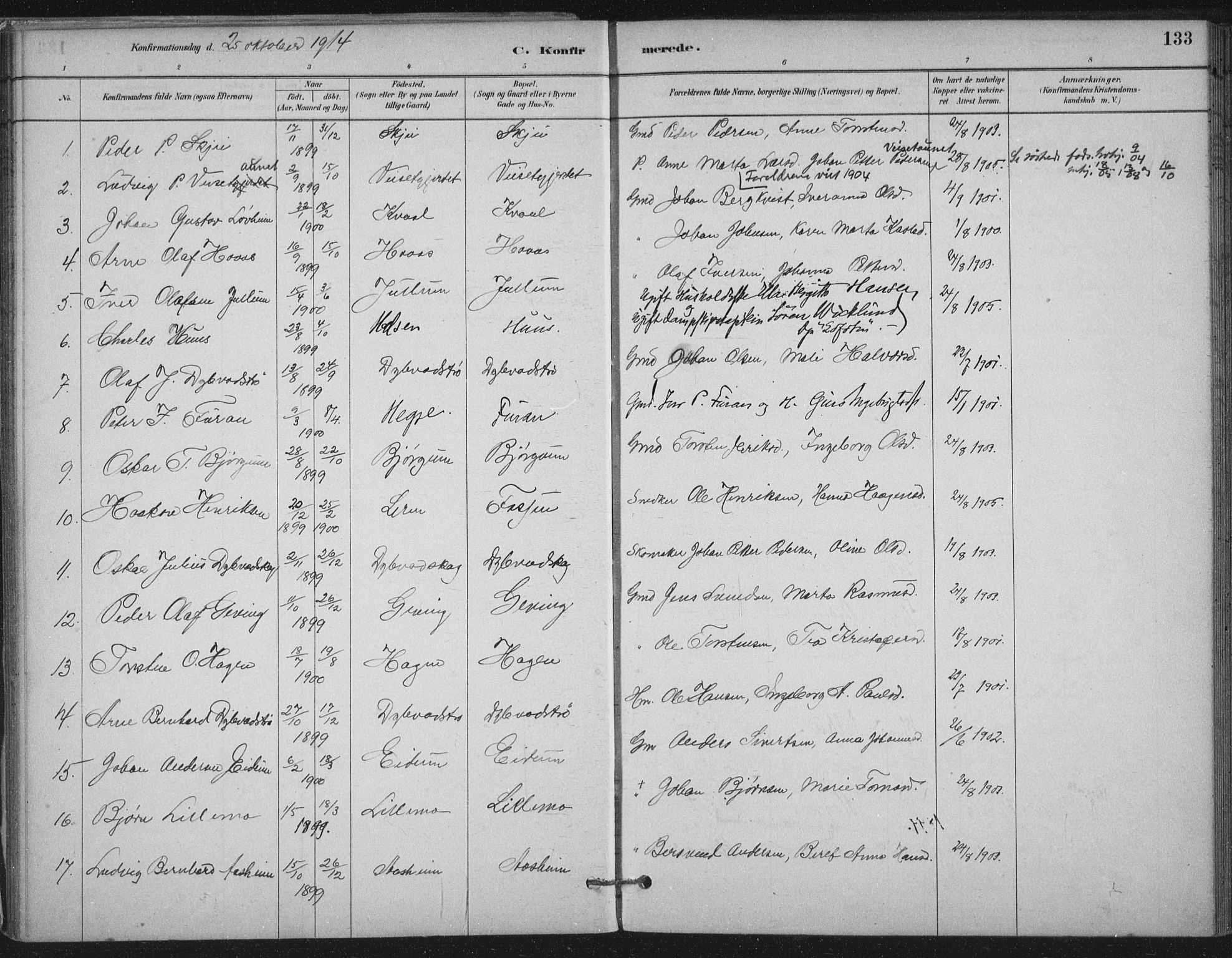 Ministerialprotokoller, klokkerbøker og fødselsregistre - Nord-Trøndelag, SAT/A-1458/710/L0095: Parish register (official) no. 710A01, 1880-1914, p. 133