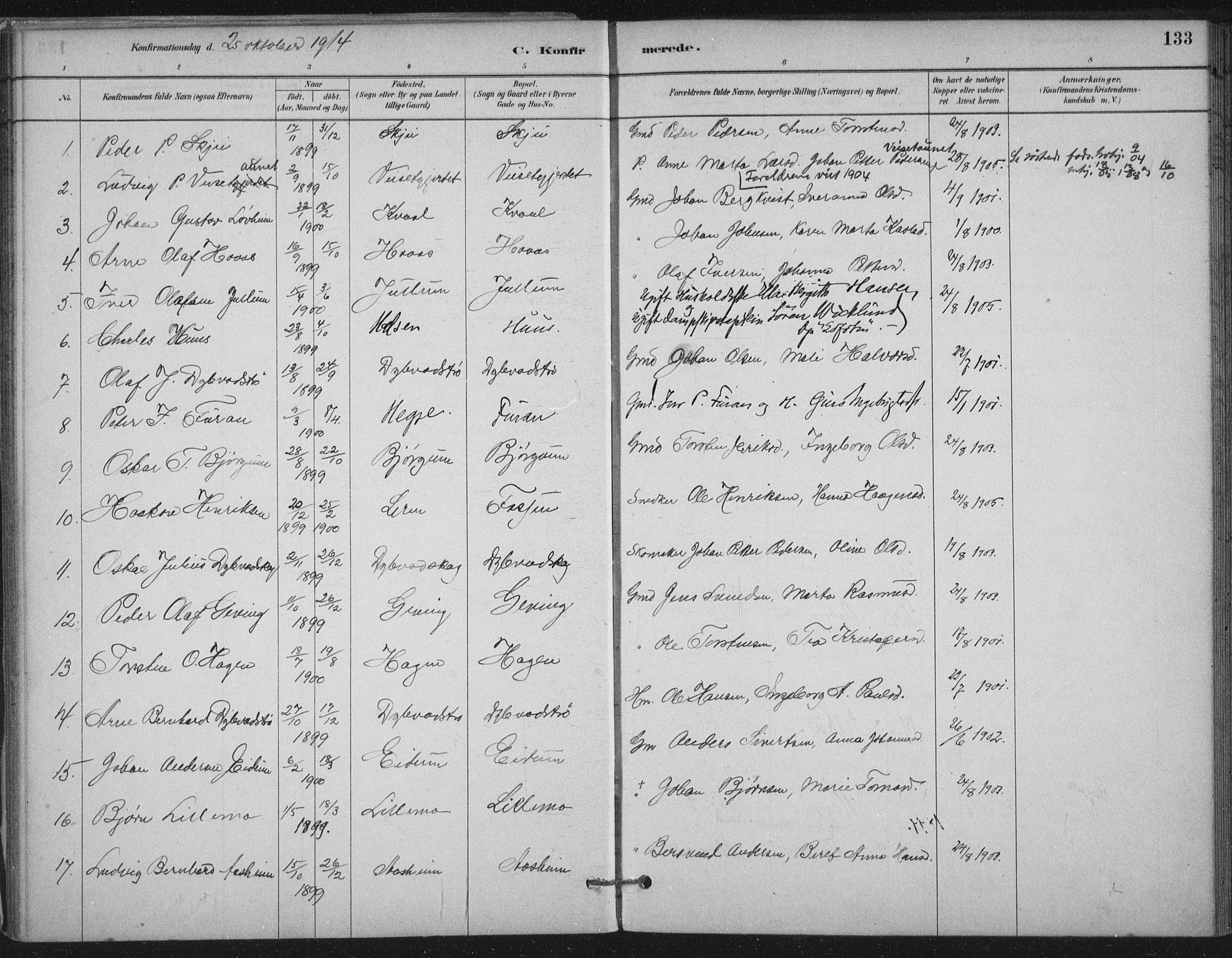 Ministerialprotokoller, klokkerbøker og fødselsregistre - Nord-Trøndelag, AV/SAT-A-1458/710/L0095: Parish register (official) no. 710A01, 1880-1914, p. 133