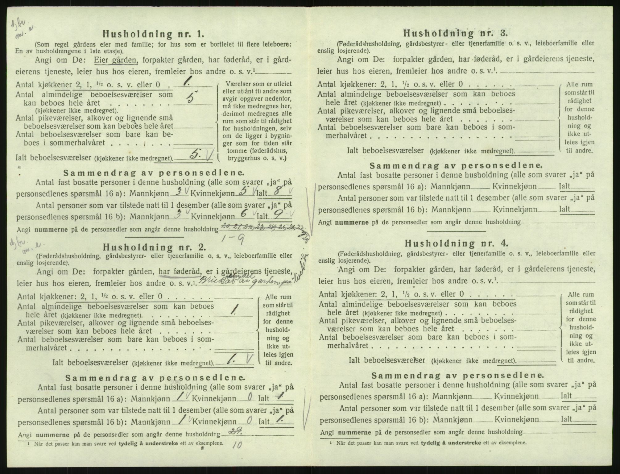 SAK, 1920 census for Hornnes, 1920, p. 212