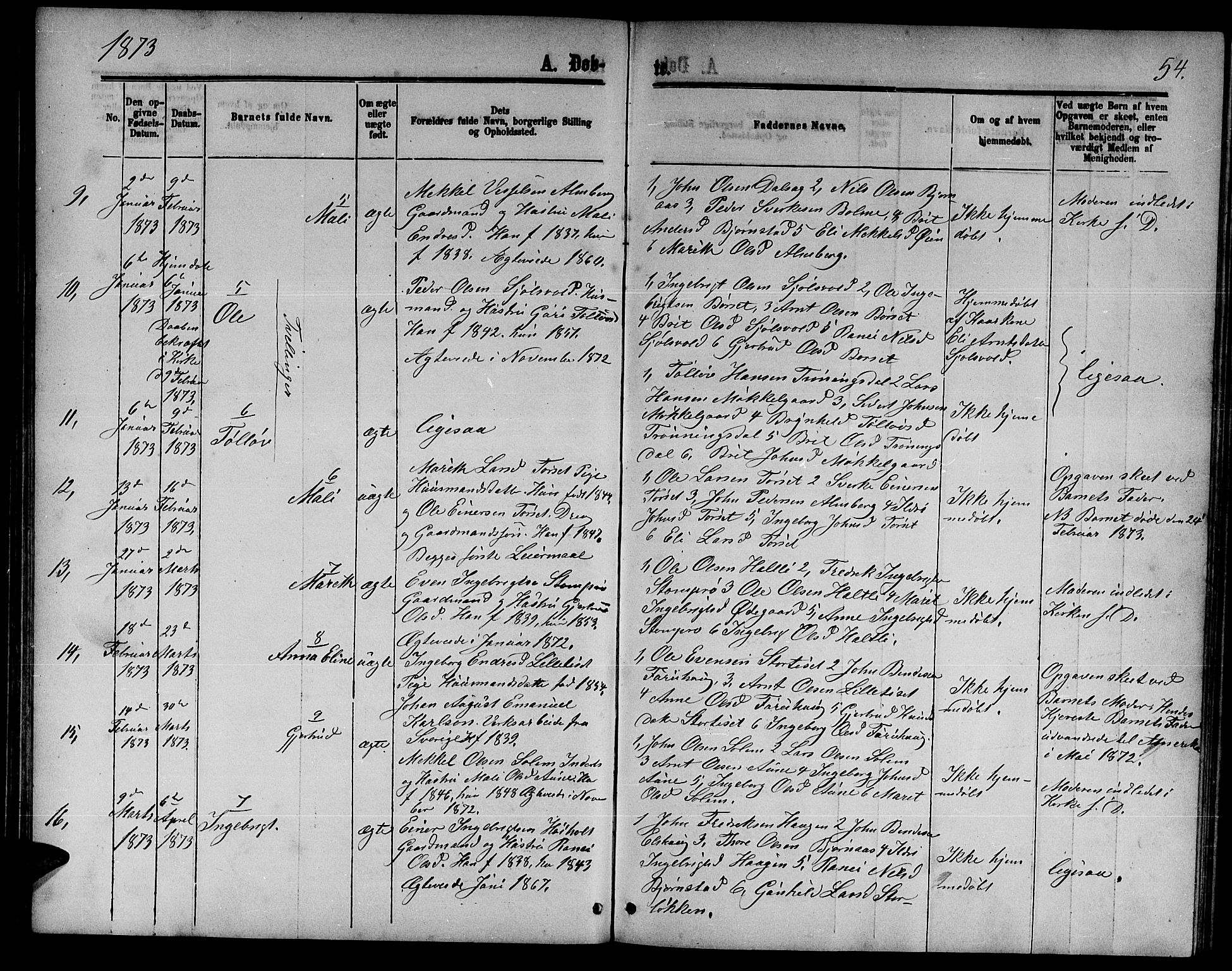 Ministerialprotokoller, klokkerbøker og fødselsregistre - Møre og Romsdal, AV/SAT-A-1454/598/L1076: Parish register (copy) no. 598C01, 1867-1878, p. 54