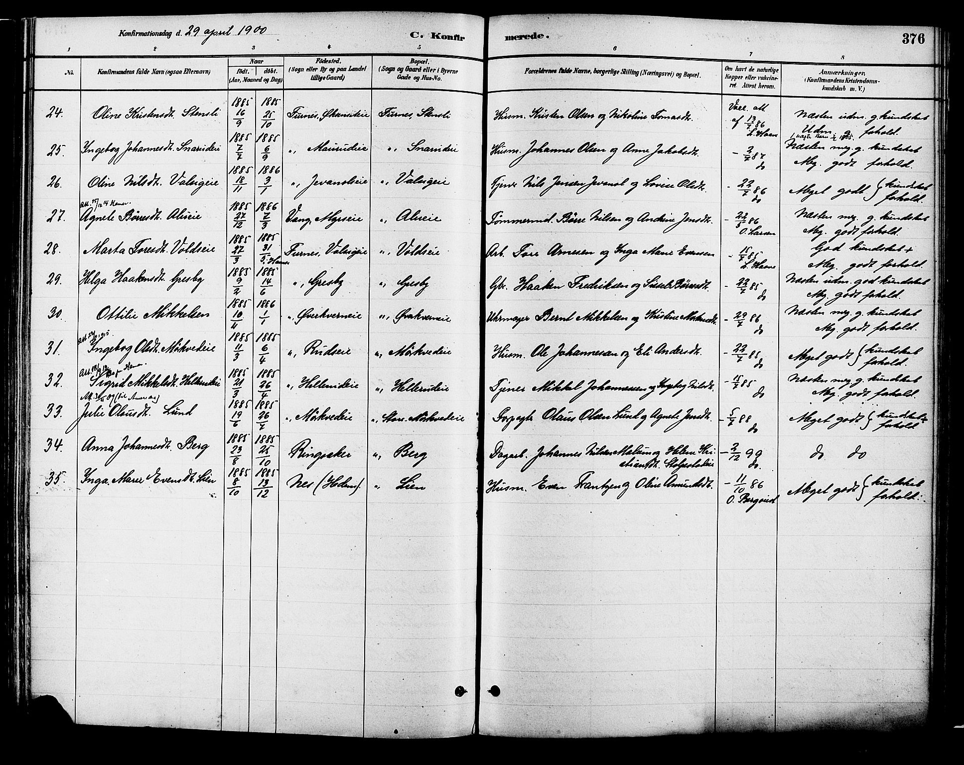 Vang prestekontor, Hedmark, AV/SAH-PREST-008/H/Ha/Haa/L0018B: Parish register (official) no. 18B, 1880-1906, p. 376