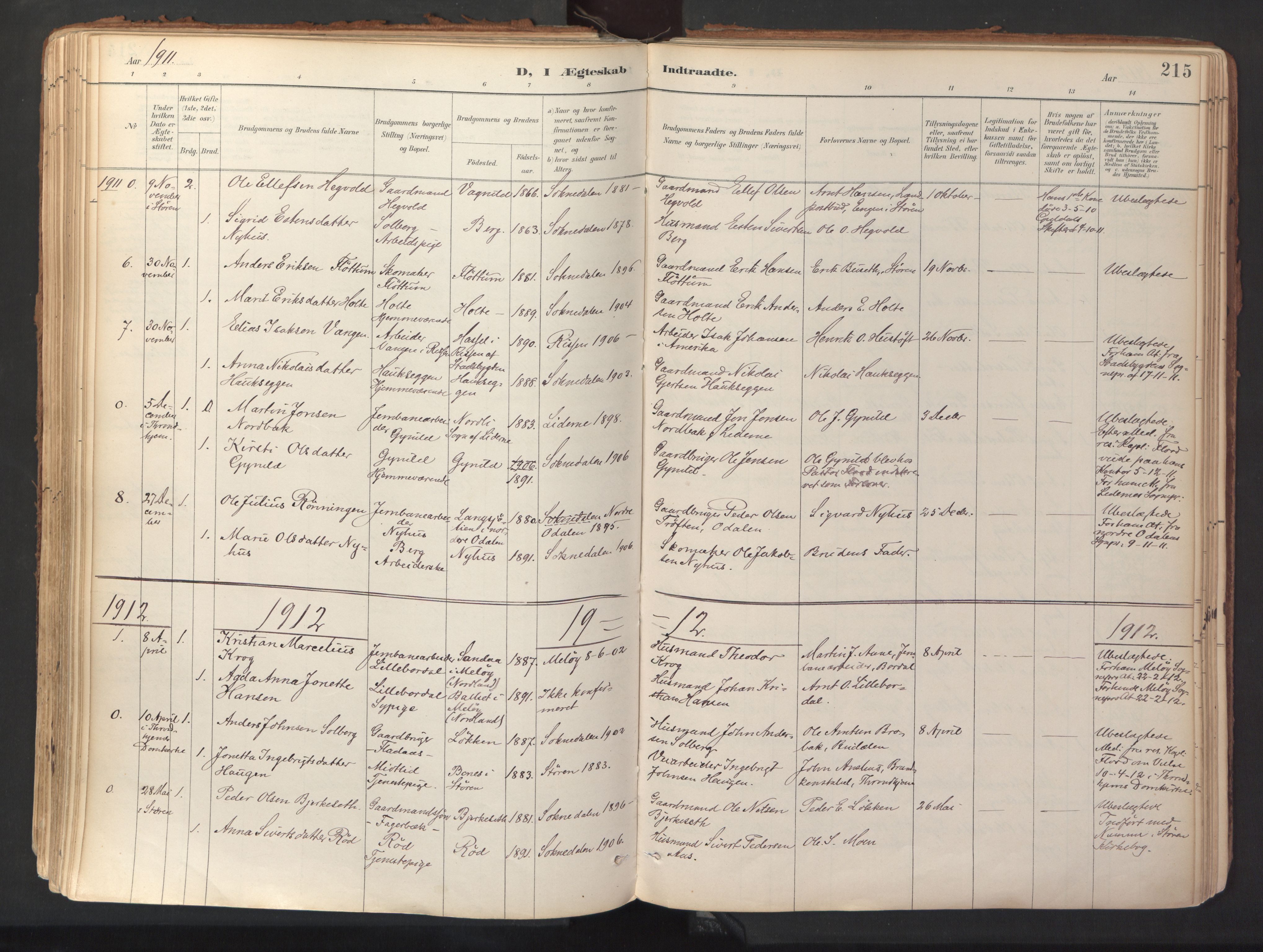Ministerialprotokoller, klokkerbøker og fødselsregistre - Sør-Trøndelag, SAT/A-1456/689/L1041: Parish register (official) no. 689A06, 1891-1923, p. 215