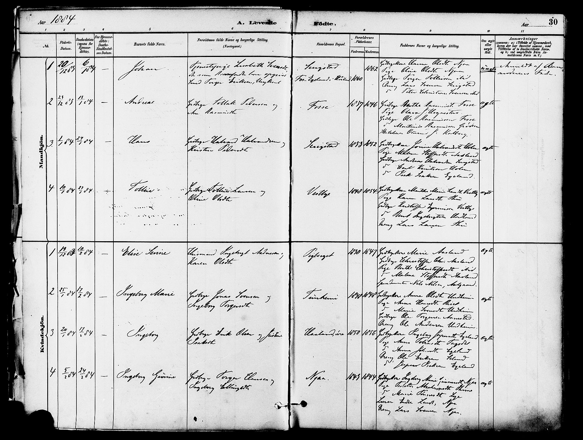 Lye sokneprestkontor, SAST/A-101794/001/30BA/L0009: Parish register (official) no. A 8, 1881-1892, p. 30