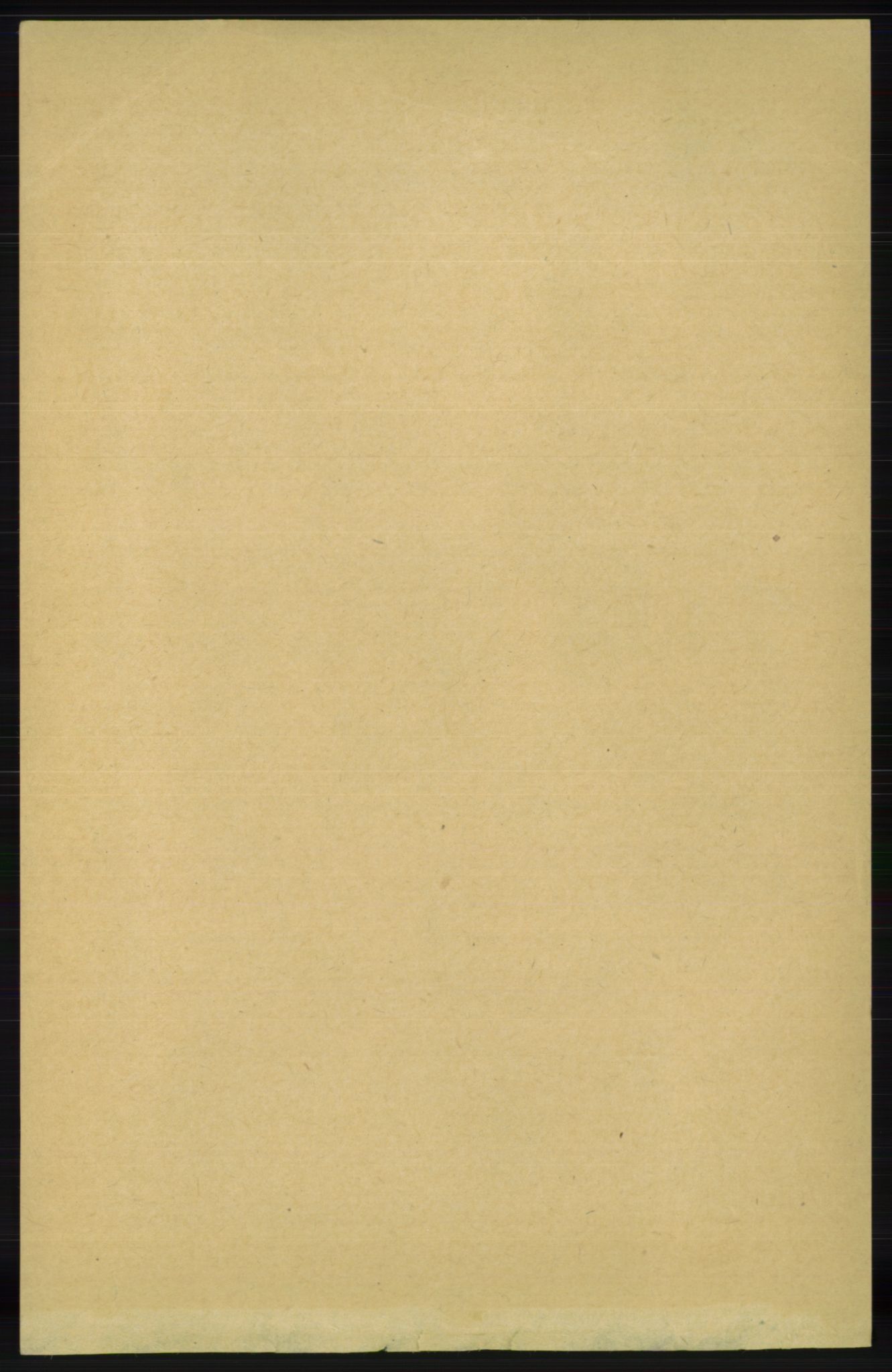 RA, 1891 census for 1041 Vanse, 1891, p. 602