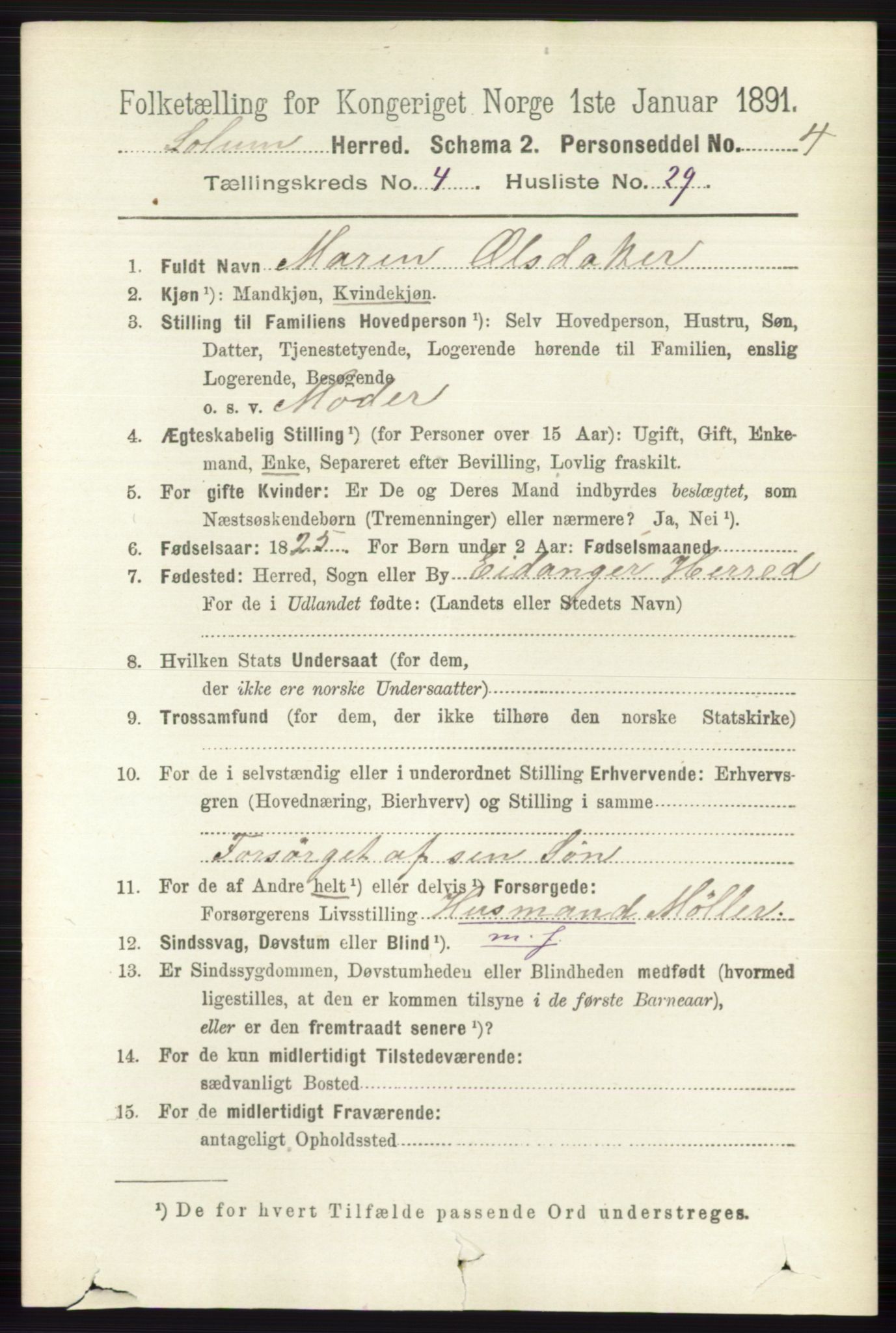 RA, 1891 census for 0818 Solum, 1891, p. 794