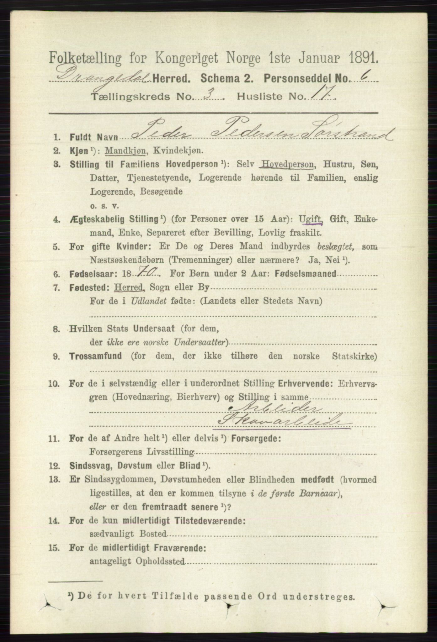 RA, 1891 census for 0817 Drangedal, 1891, p. 958