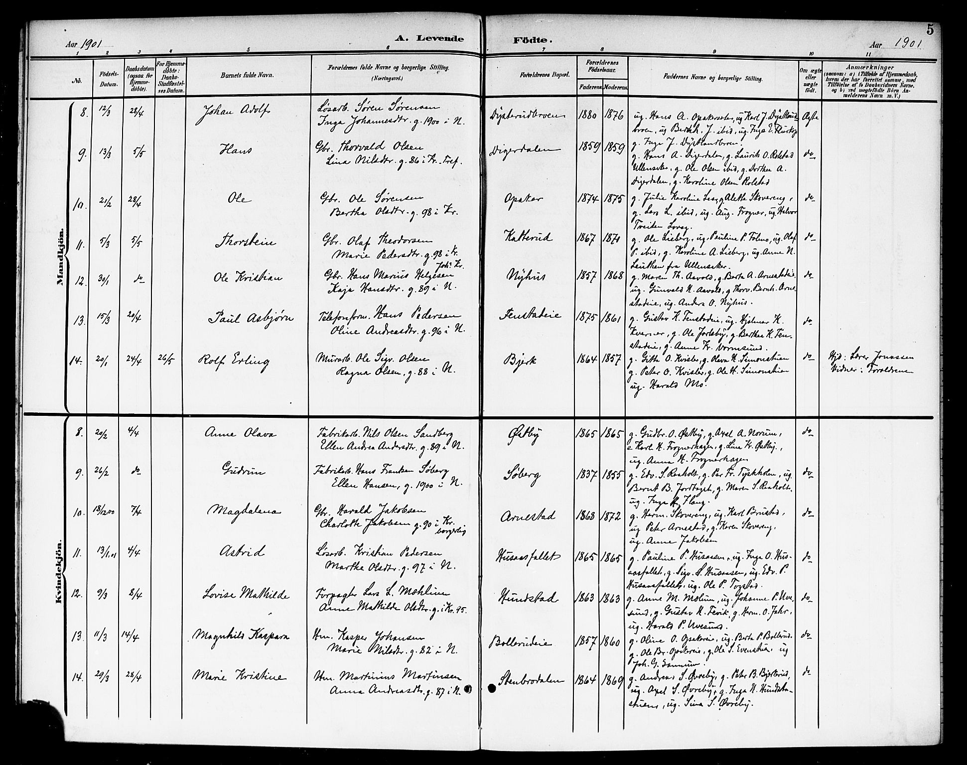 Nes prestekontor Kirkebøker, AV/SAO-A-10410/G/Ga/L0002: Parish register (copy) no. I 2, 1901-1912, p. 5